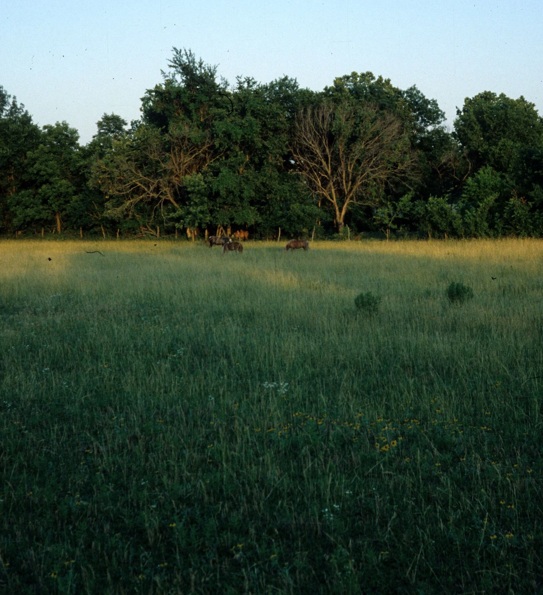 1977 - SUMMER TRIP - KANSAS - PITTS HOMESTEAD C.jpg