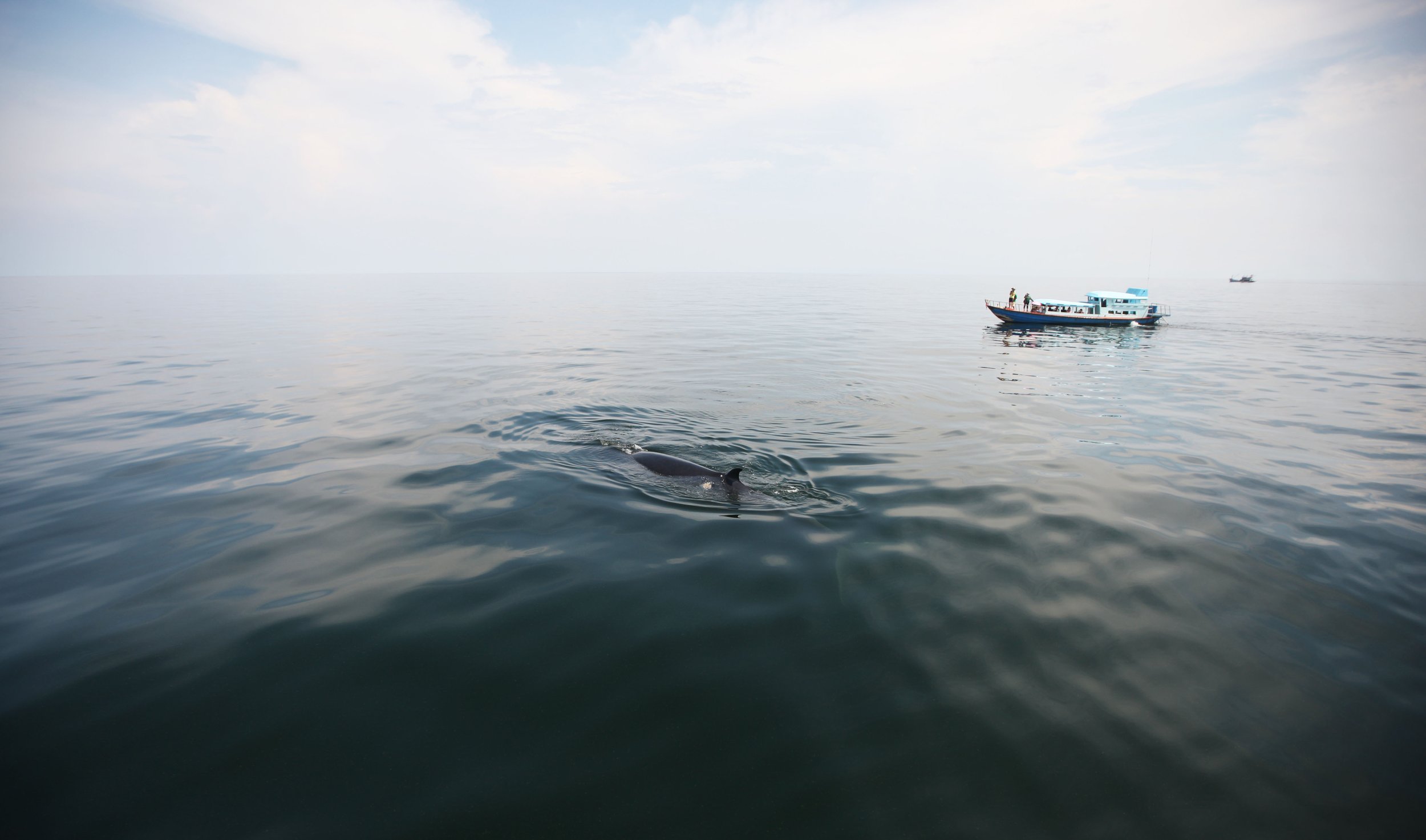 2014 Amphawa Trip to See Whales from Baan Taboon (49).JPG