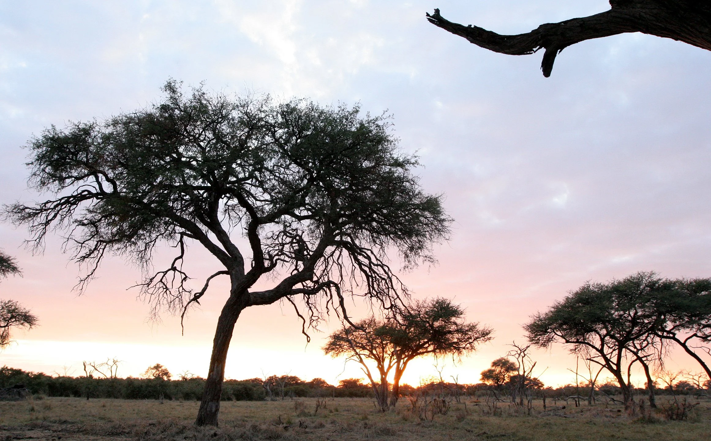 BOTSWANA - KHWAI CAMP SUNRISE - OKAVANGO.JPG