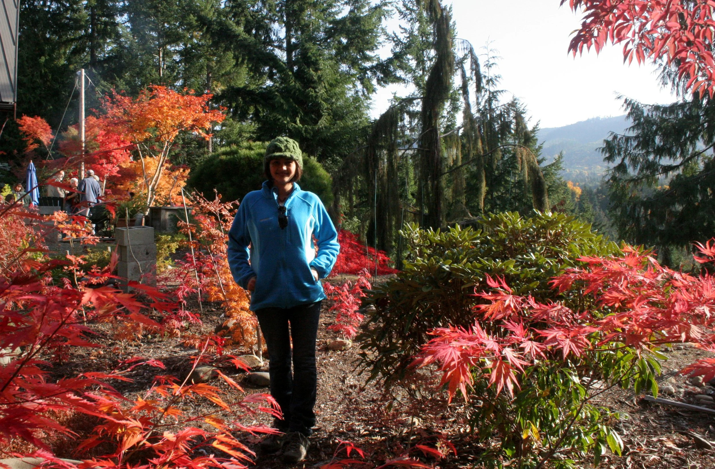 2008-10-26 MAPLE AND MERLOT - ELWHA RIVER VALLEY WA.JPG
