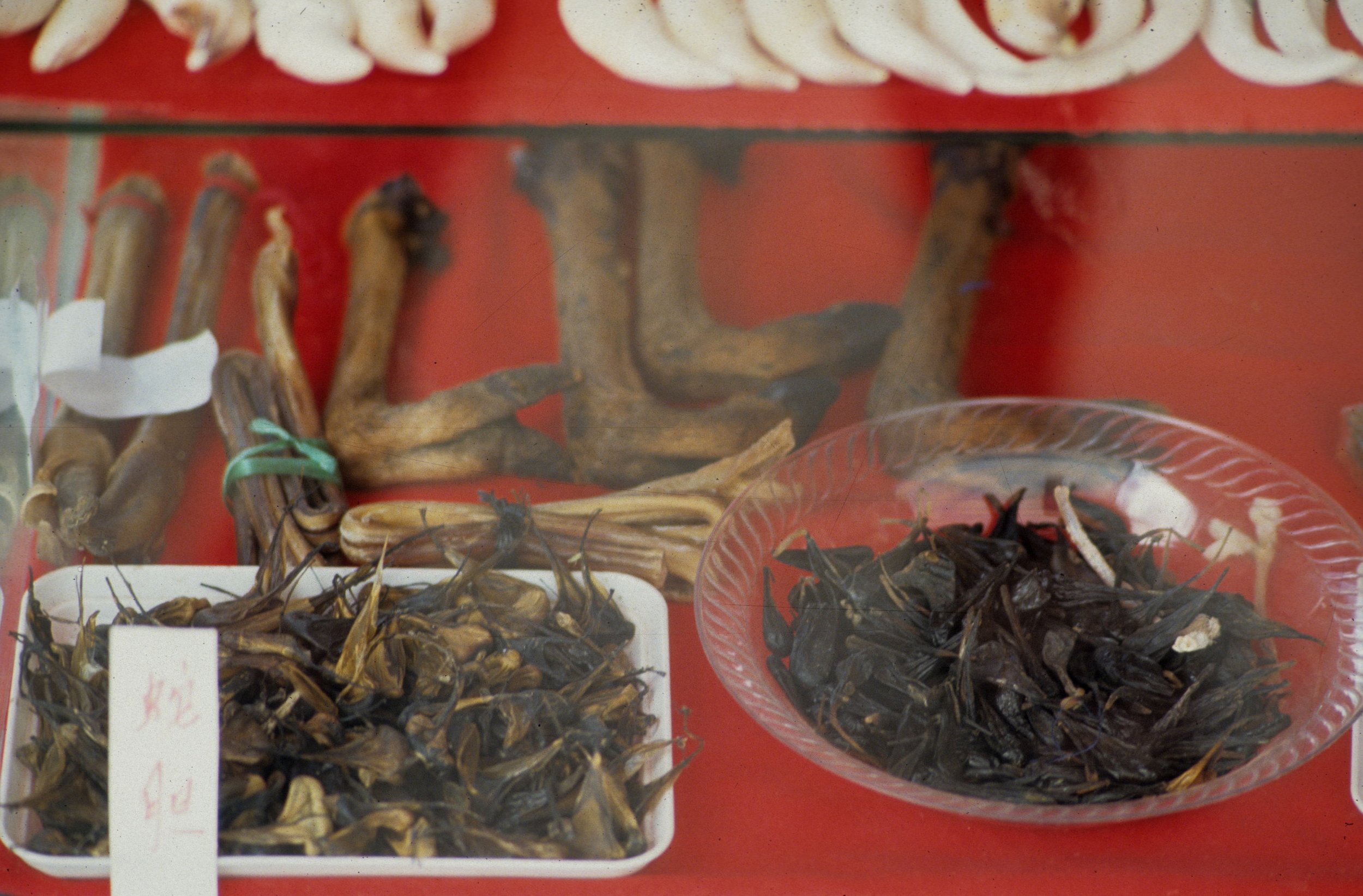 DALAT - POACHERS STAND - BEAR GALL BLADDERS BOAR TEETH.jpg