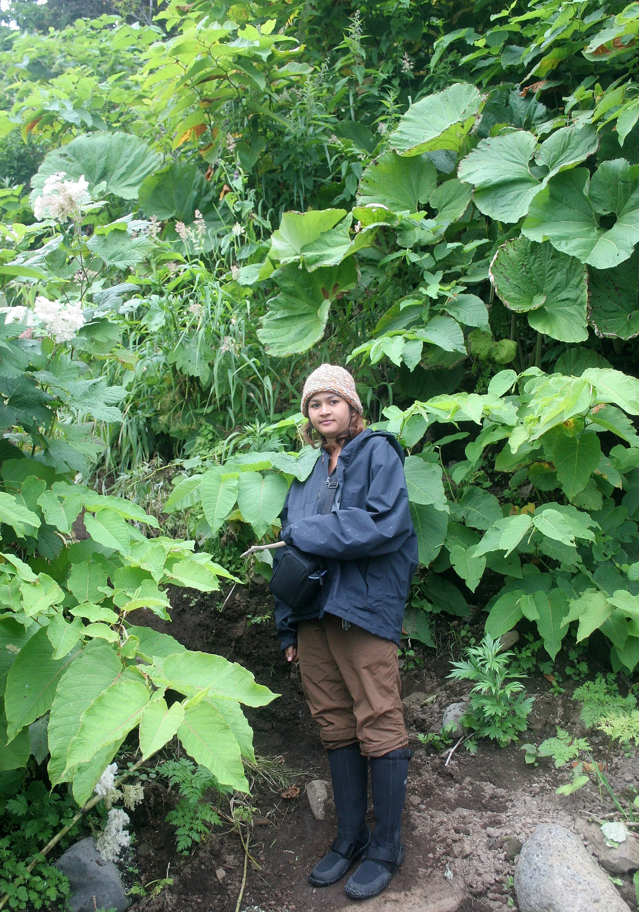 KURIL ISLANDS - FLORA  (42).jpg