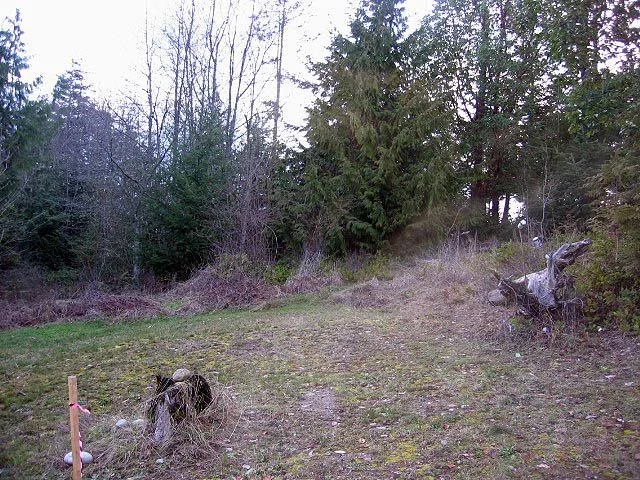 2007-2-20 LOT 12 IMAGES FOR REALTOR.jpg