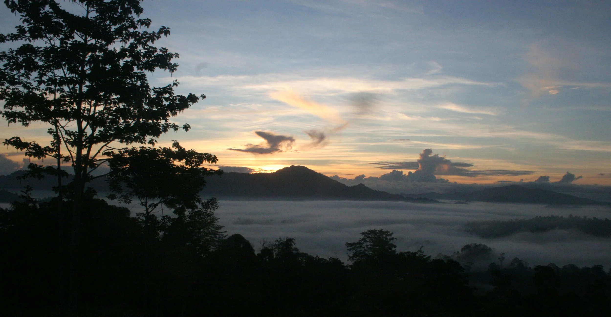 DANUM VALLEY BORNEO - SUNRISE OVER THE DANUM (98).JPG
