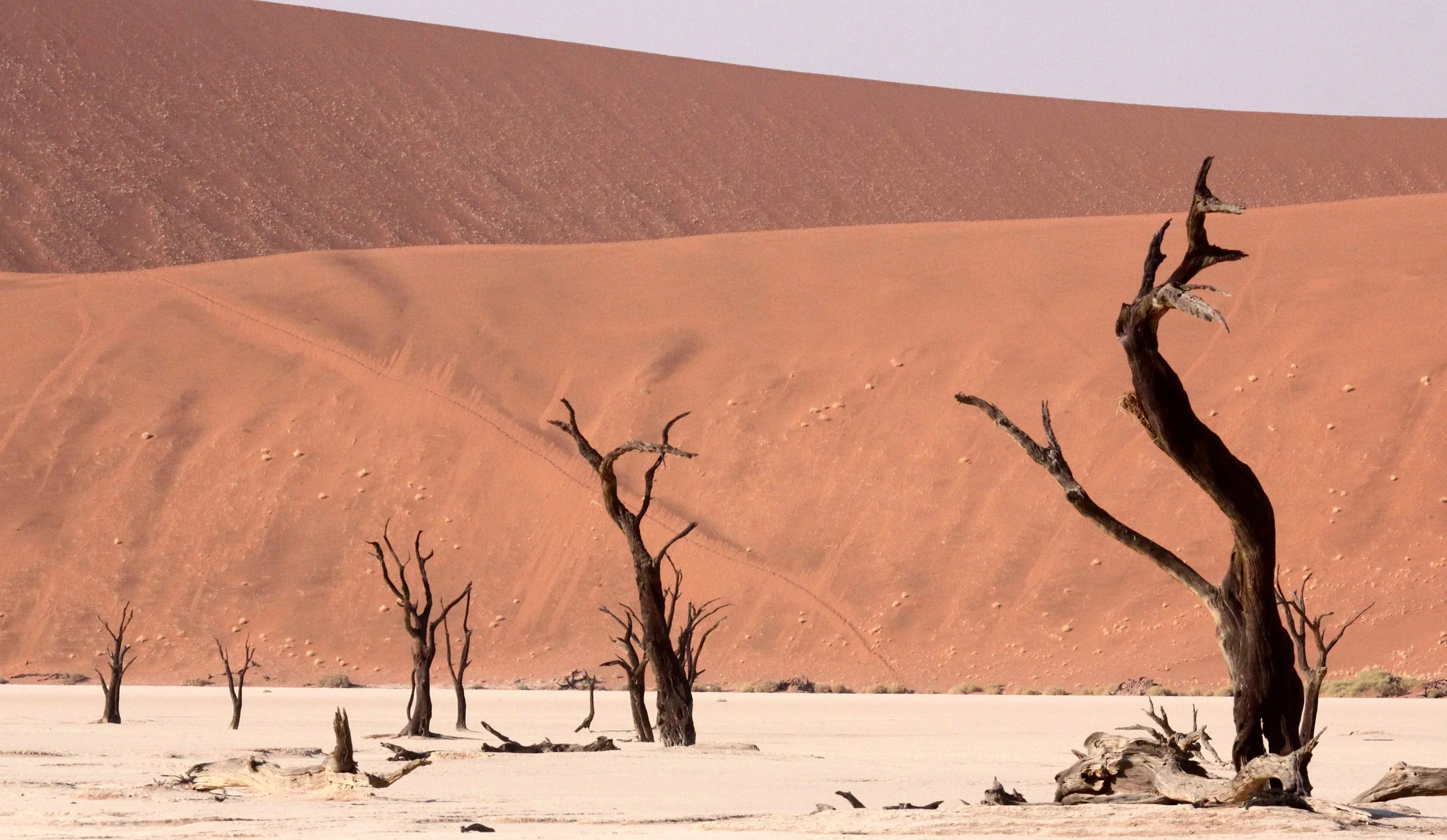 SOSSUSVLEI, NAMIB NAUKLUFT NATIONAL PARK, NAMIBIA - DEAD VLEI (24).JPG