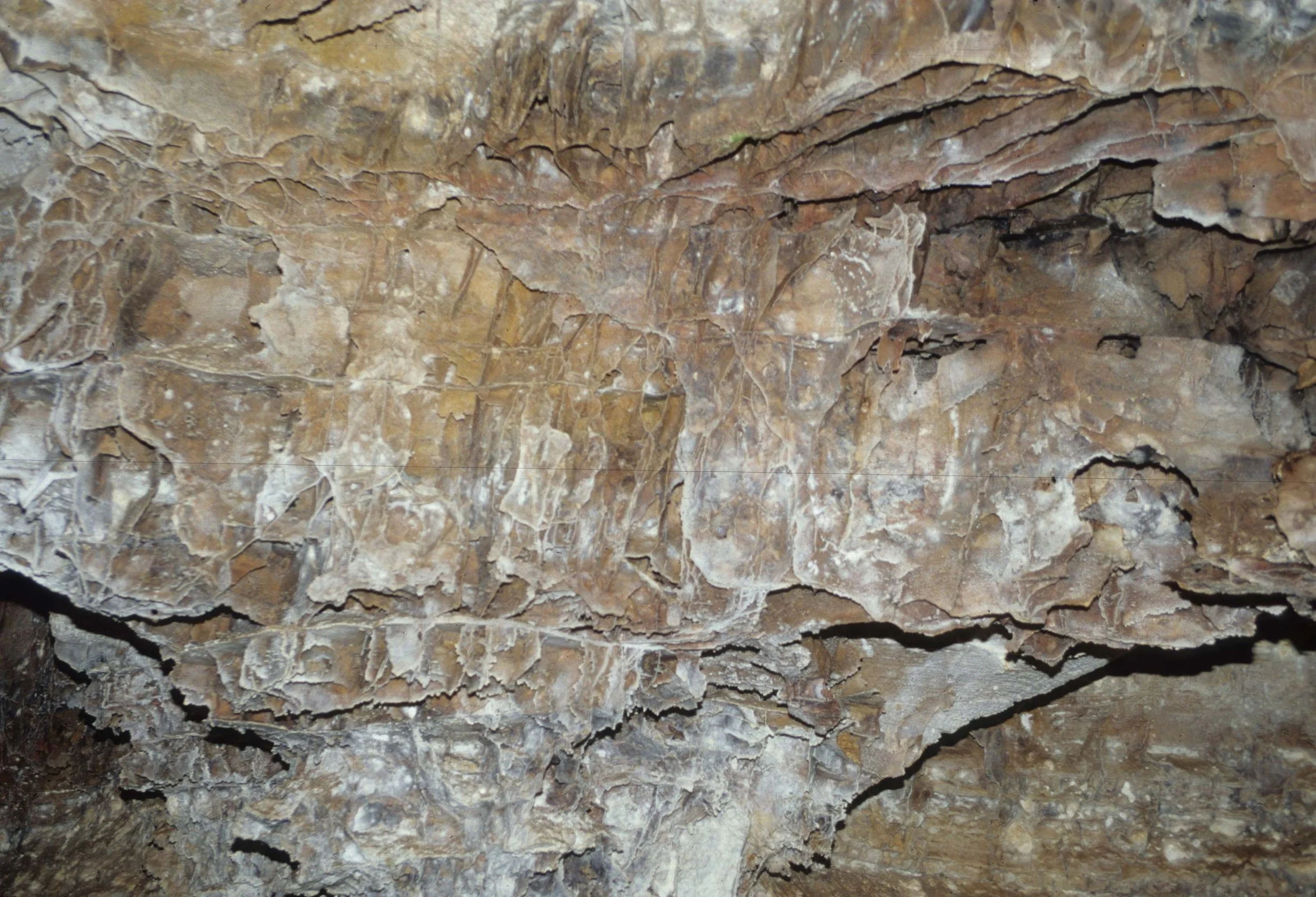 GREAT PLAINS - CAVE OF THE WINDS A.jpg