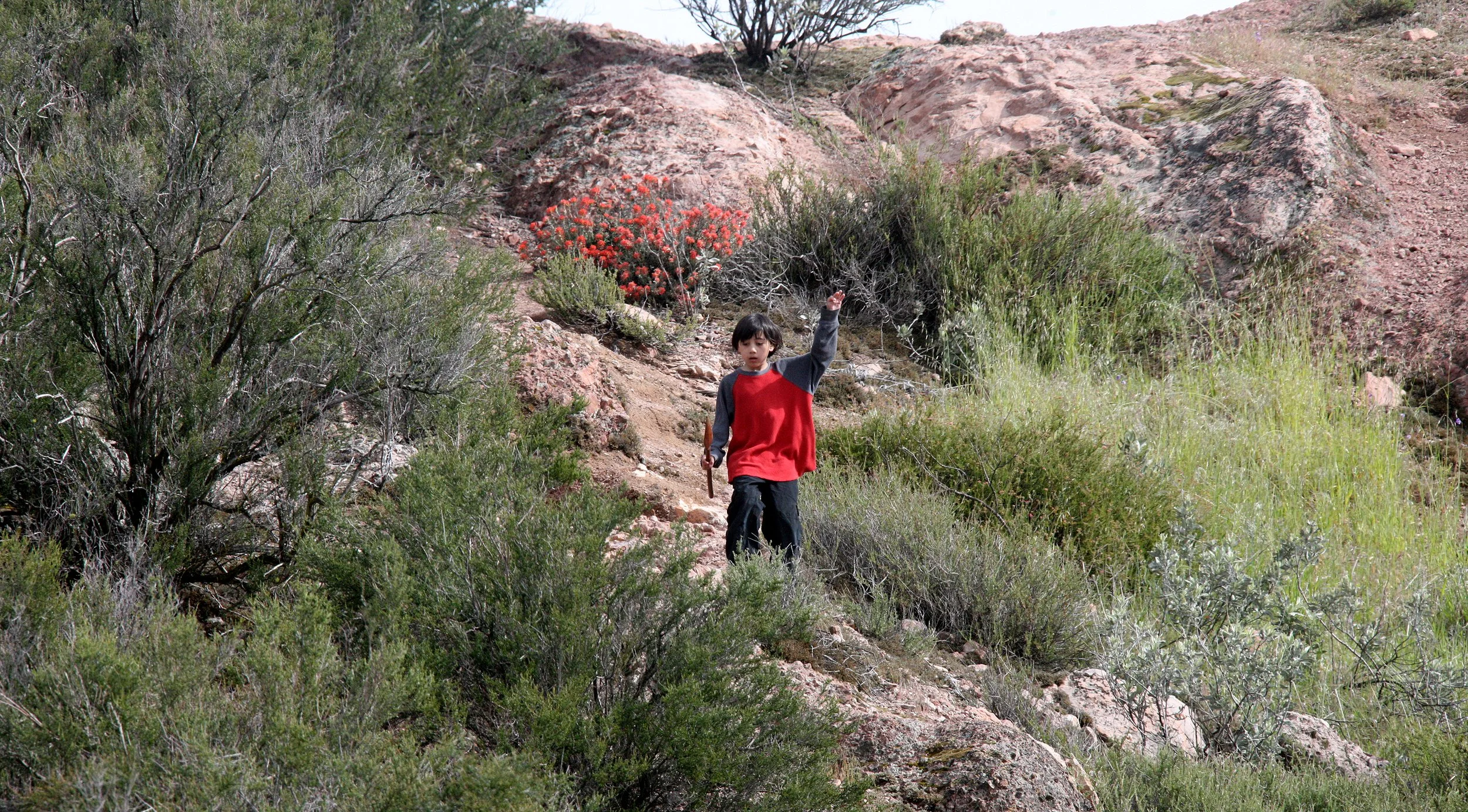 2010-4-2 PINNACLES NATIONAL MONUMENT CALIFORNIA (3).JPG