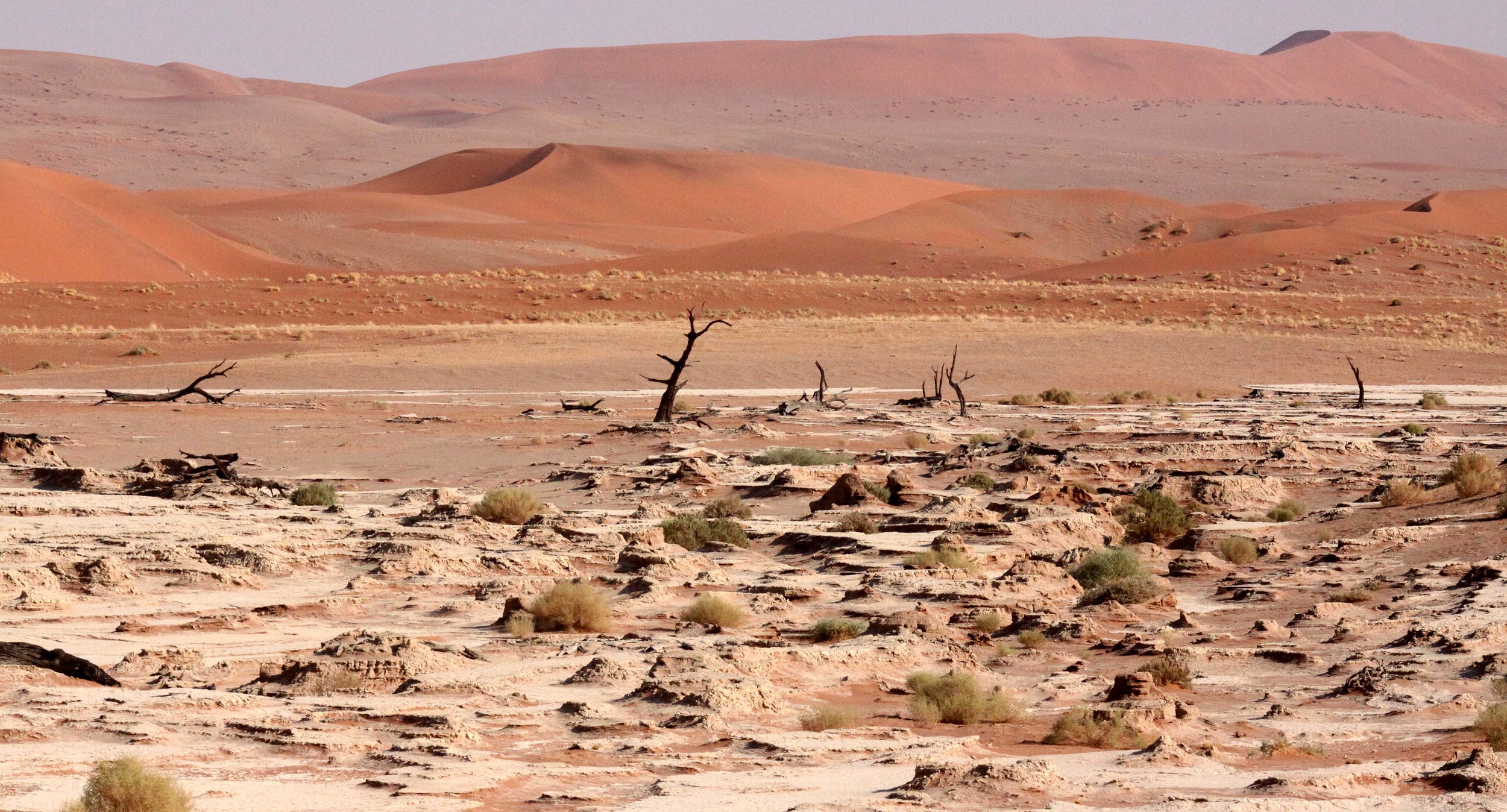 SOSSUSVLEI, NAMIB NAUKLUFT NATIONAL PARK, NAMIBIA - DEAD VLEI (85).JPG