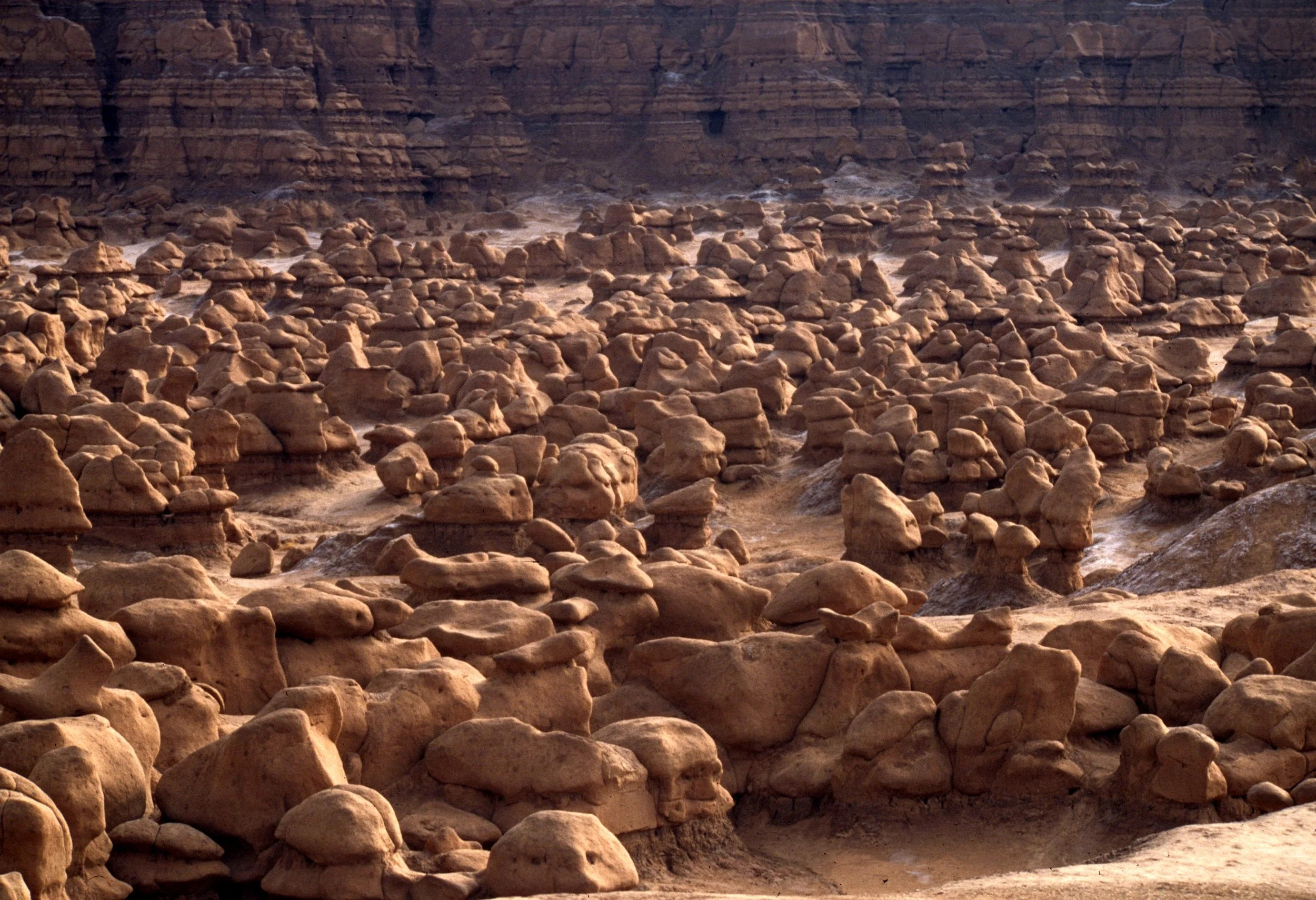 UTAH - GOBLINS SP B.jpg