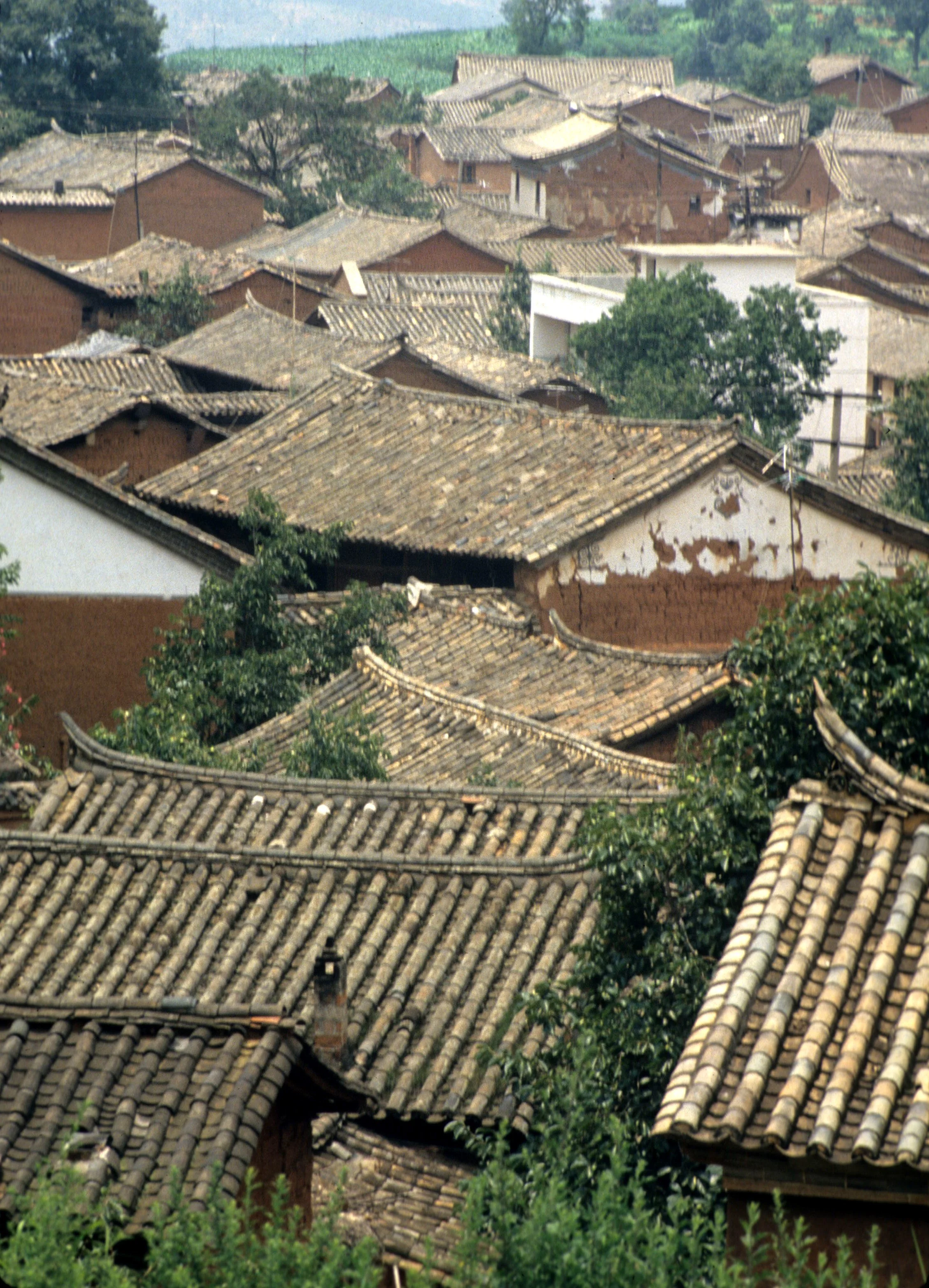 KUNMING - TIBETAN PLATEAU (13).jpg