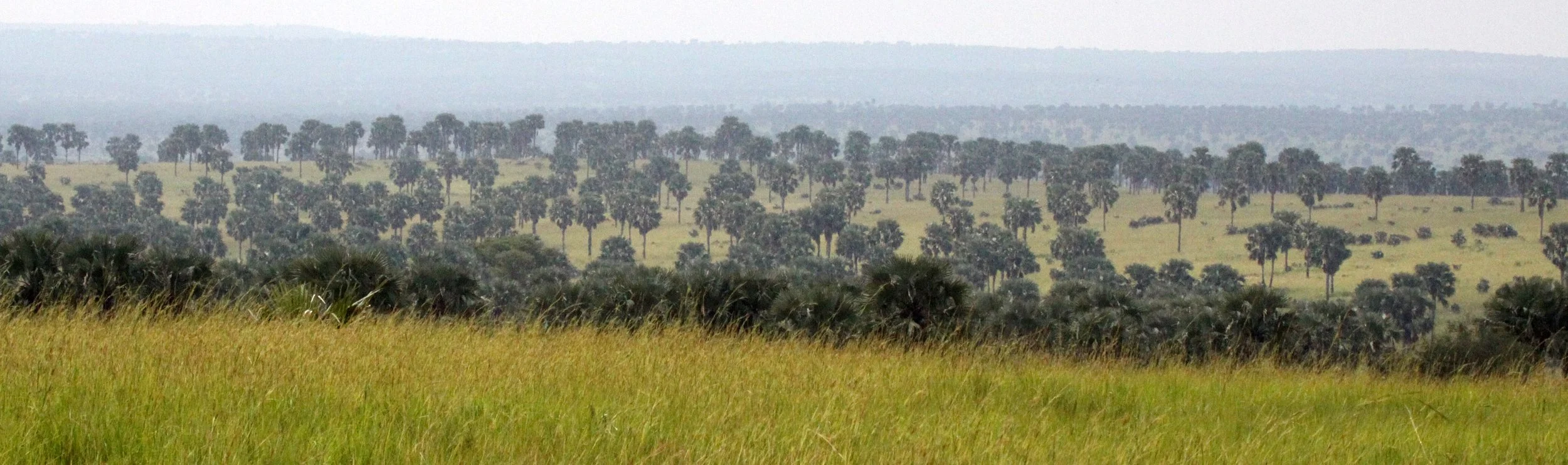MURCHISON FALLS NP UGANDA (17).JPG