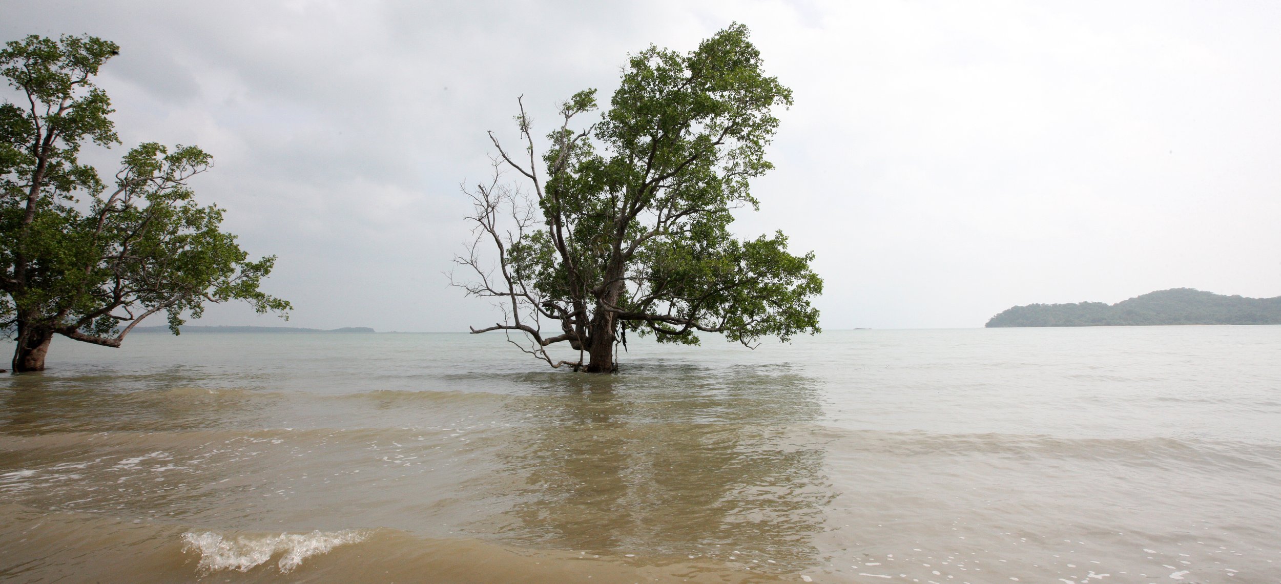 LANTA ISLAND - OUR PROPERTY - WINTER 2011 (31).JPG