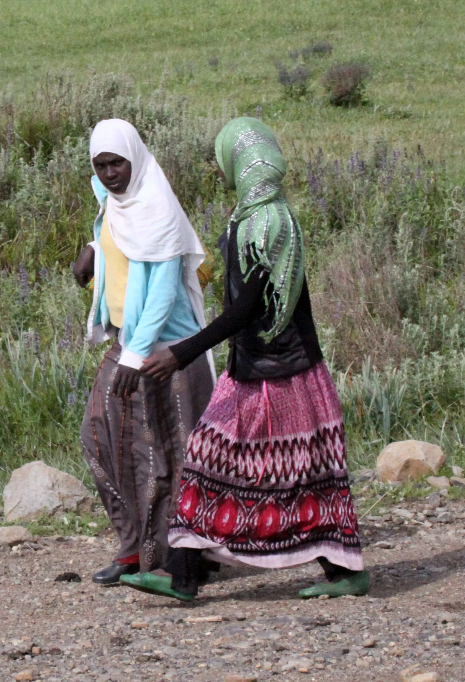 BALE MOUNTAINS NATIONAL PARK ETHIOPIA - GAYSAY GRASSLANDS (14).JPG