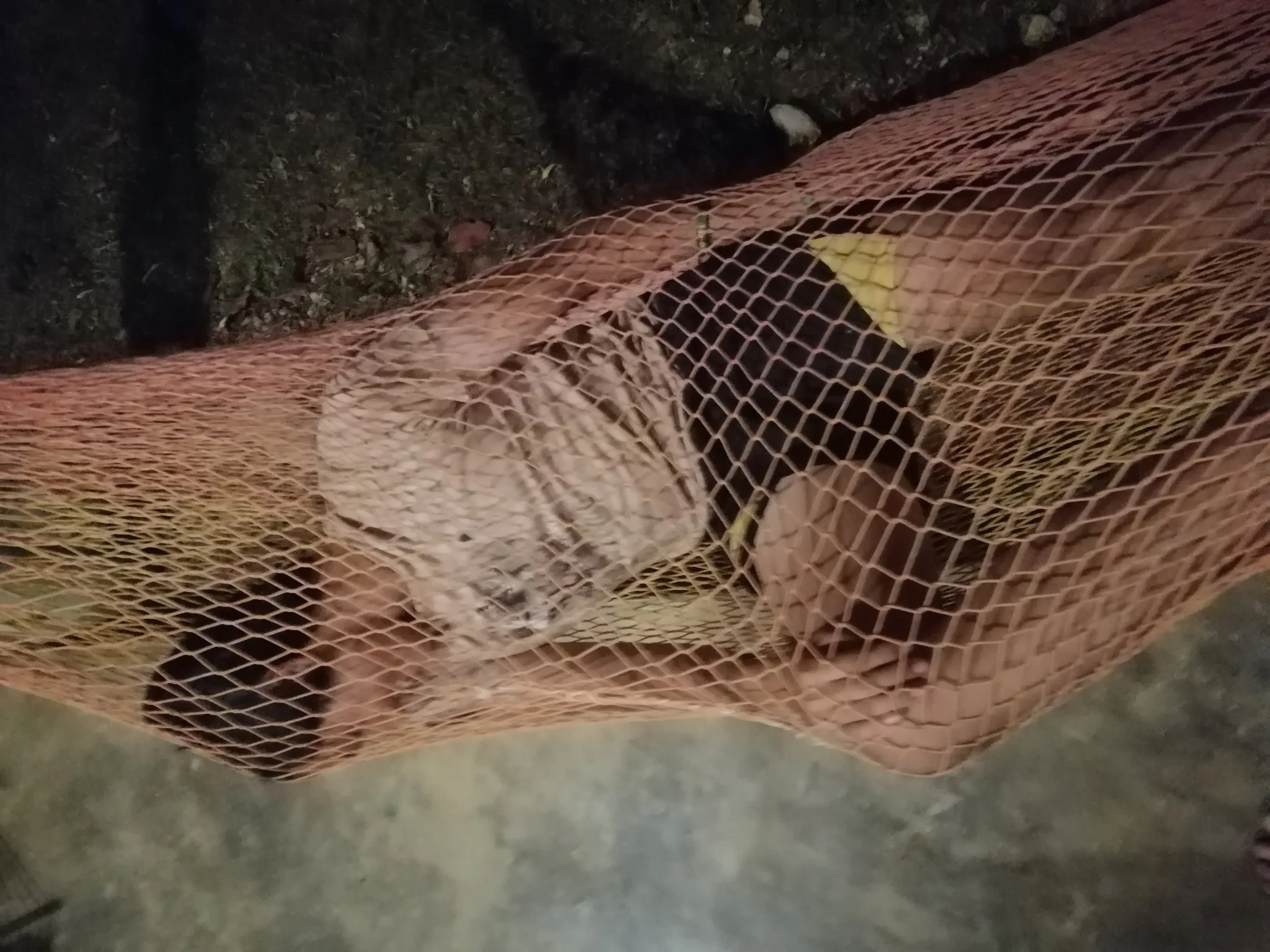 2019 Koh Lanta Summer Trip (94).jpg