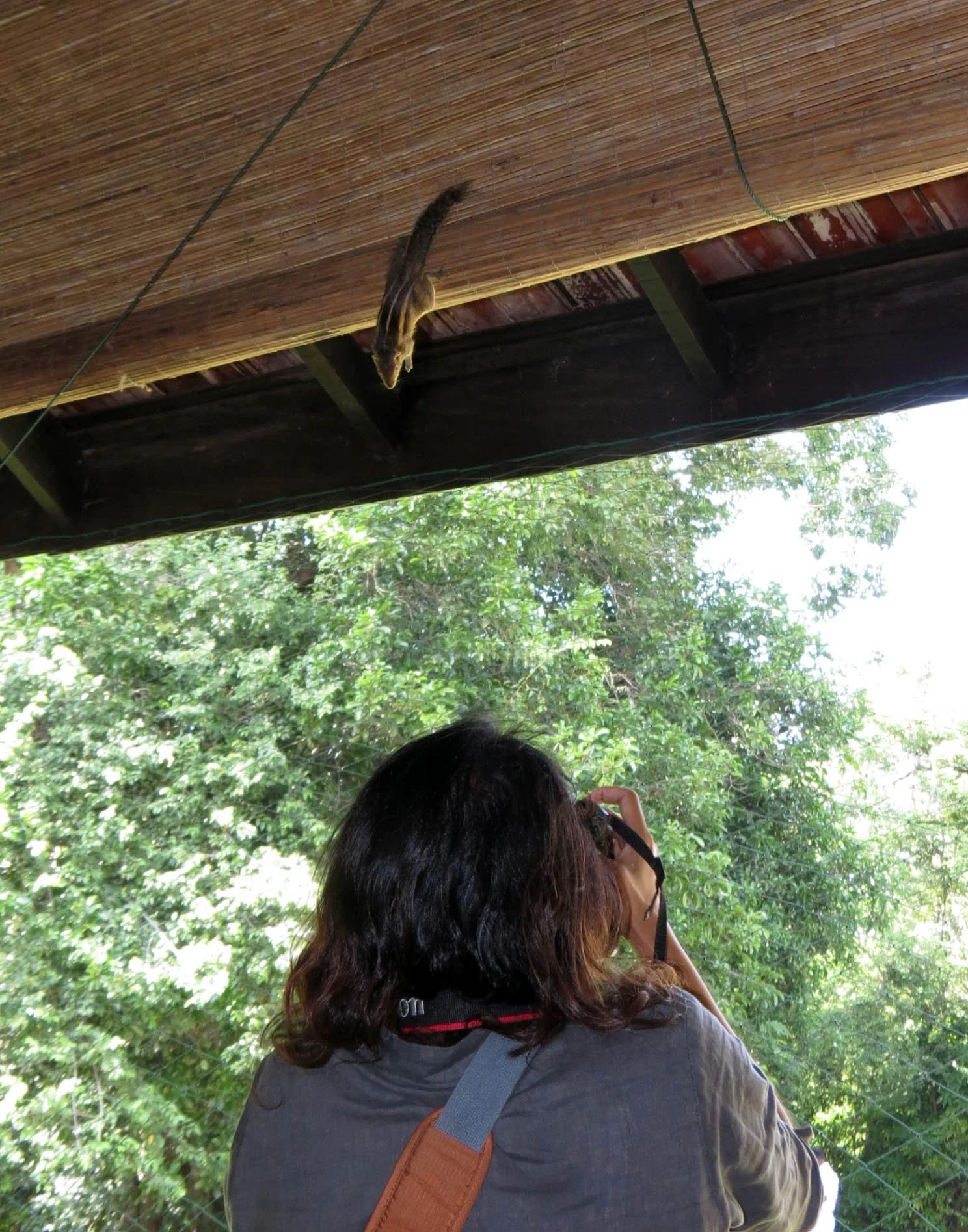 SIRIGIYA FORTRESS AND FOREST SRI LANKA (1).JPG