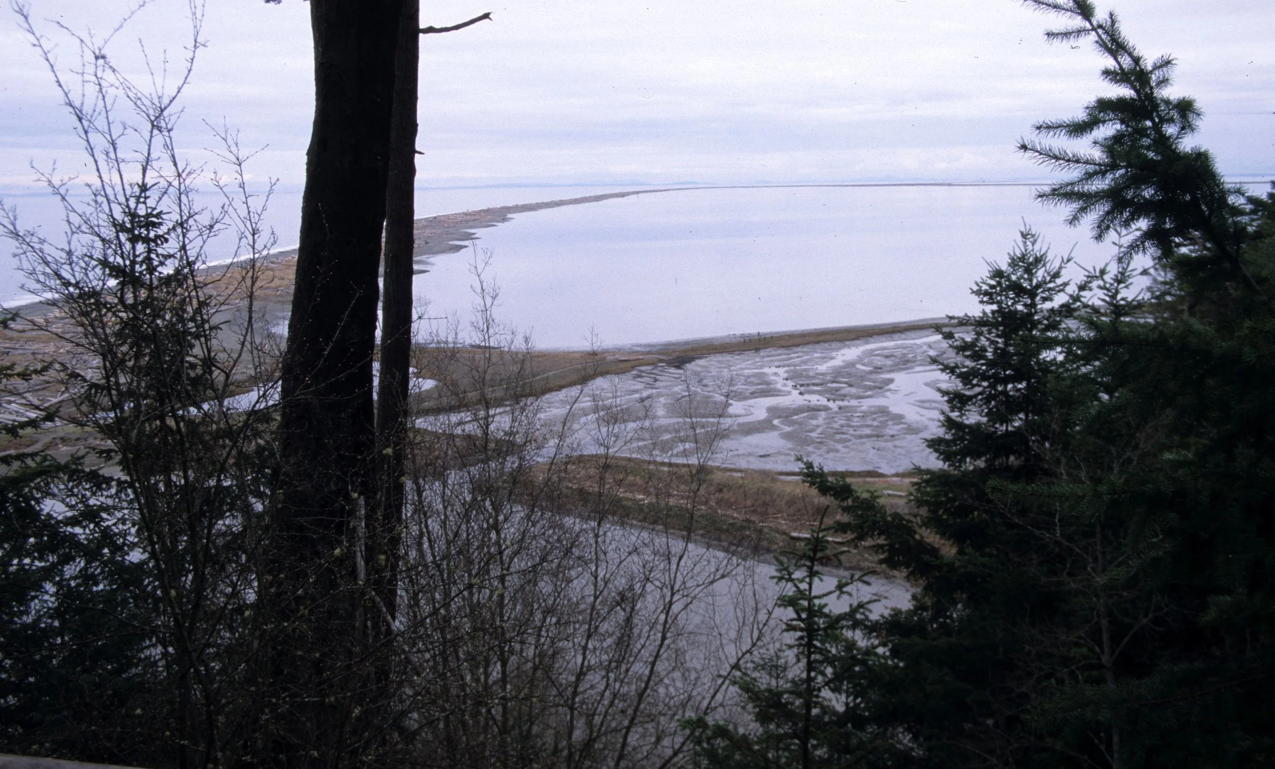 DUNGENESS SPIT (10).jpg