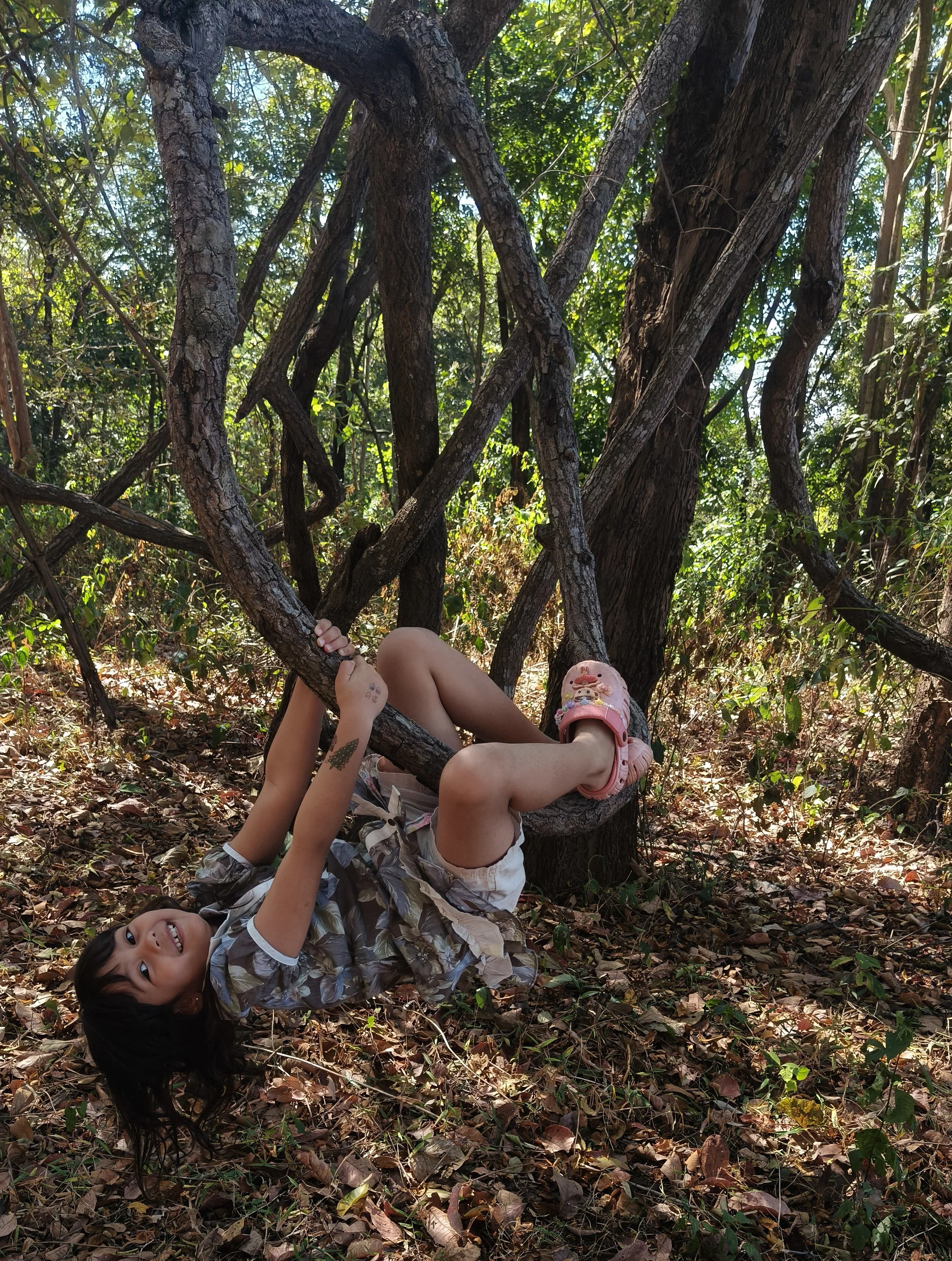 Phu Phan National Park - Kalasin Province (20).jpg