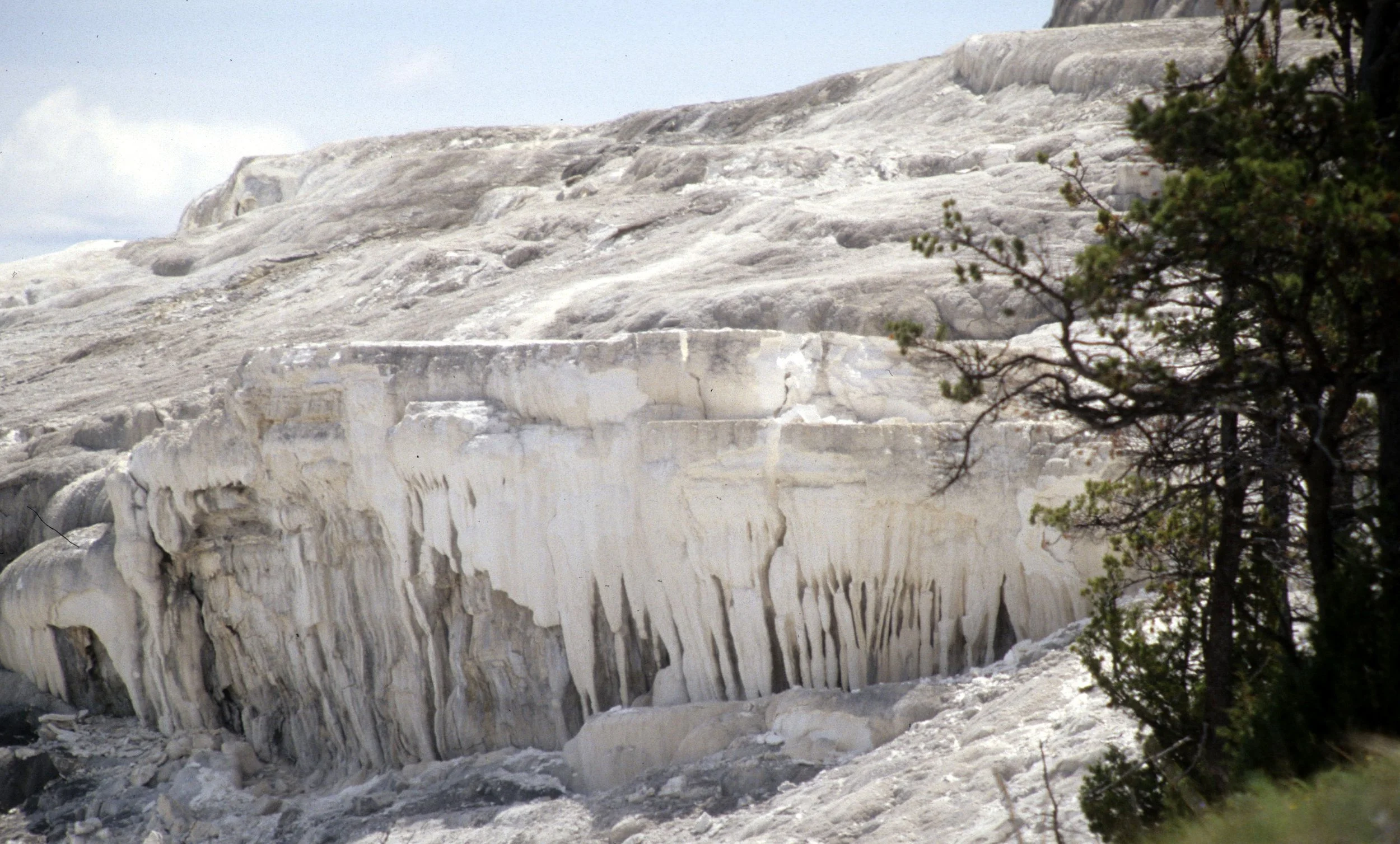 YELLOWSTONE - MAMMOTH HOTSPRINGS C.jpg