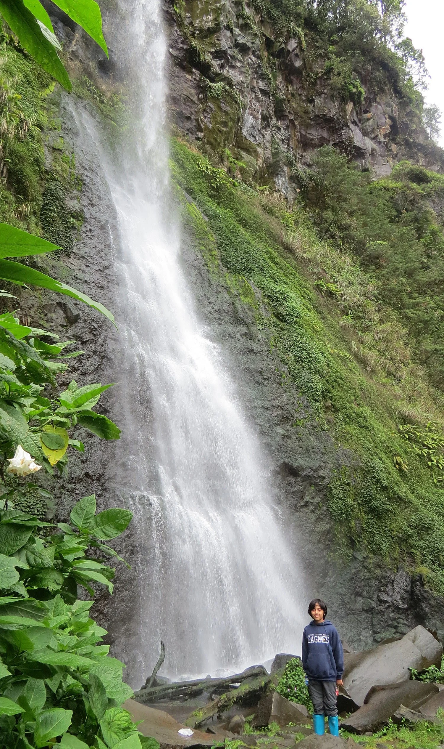 GEDE NATIONAL PARK - JAVA BARAT INDONESIA (16).JPG