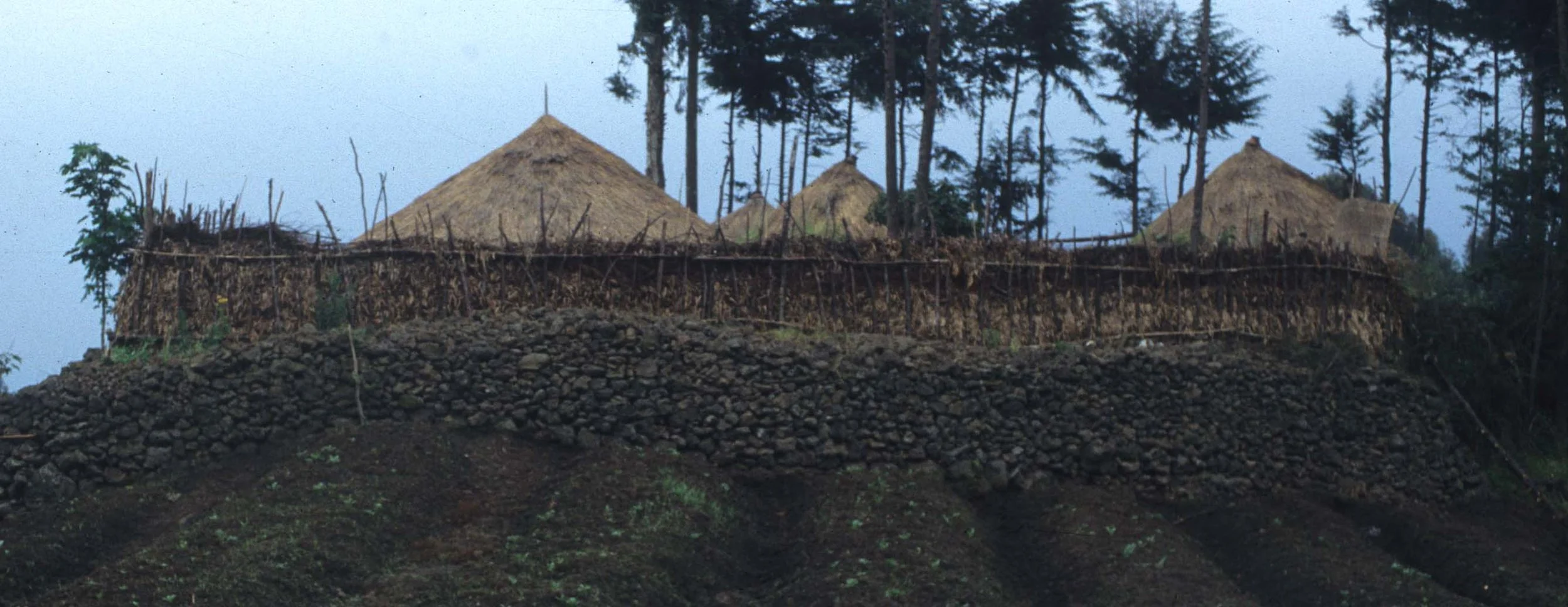 RWANDA COUNTRYSIDE 7A.jpg