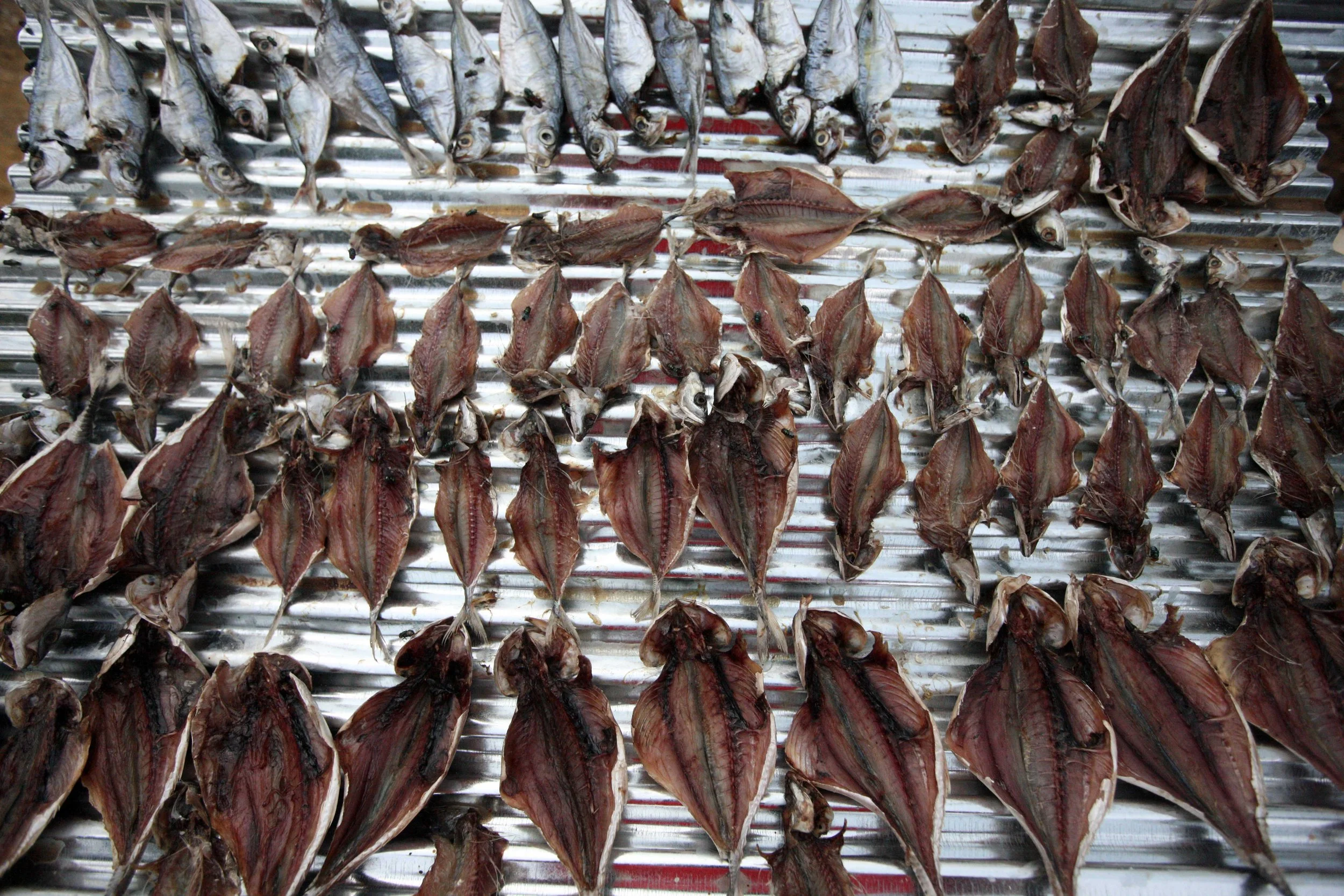 2015 Koh Lanta Songkran with friends from ISB (280).JPG