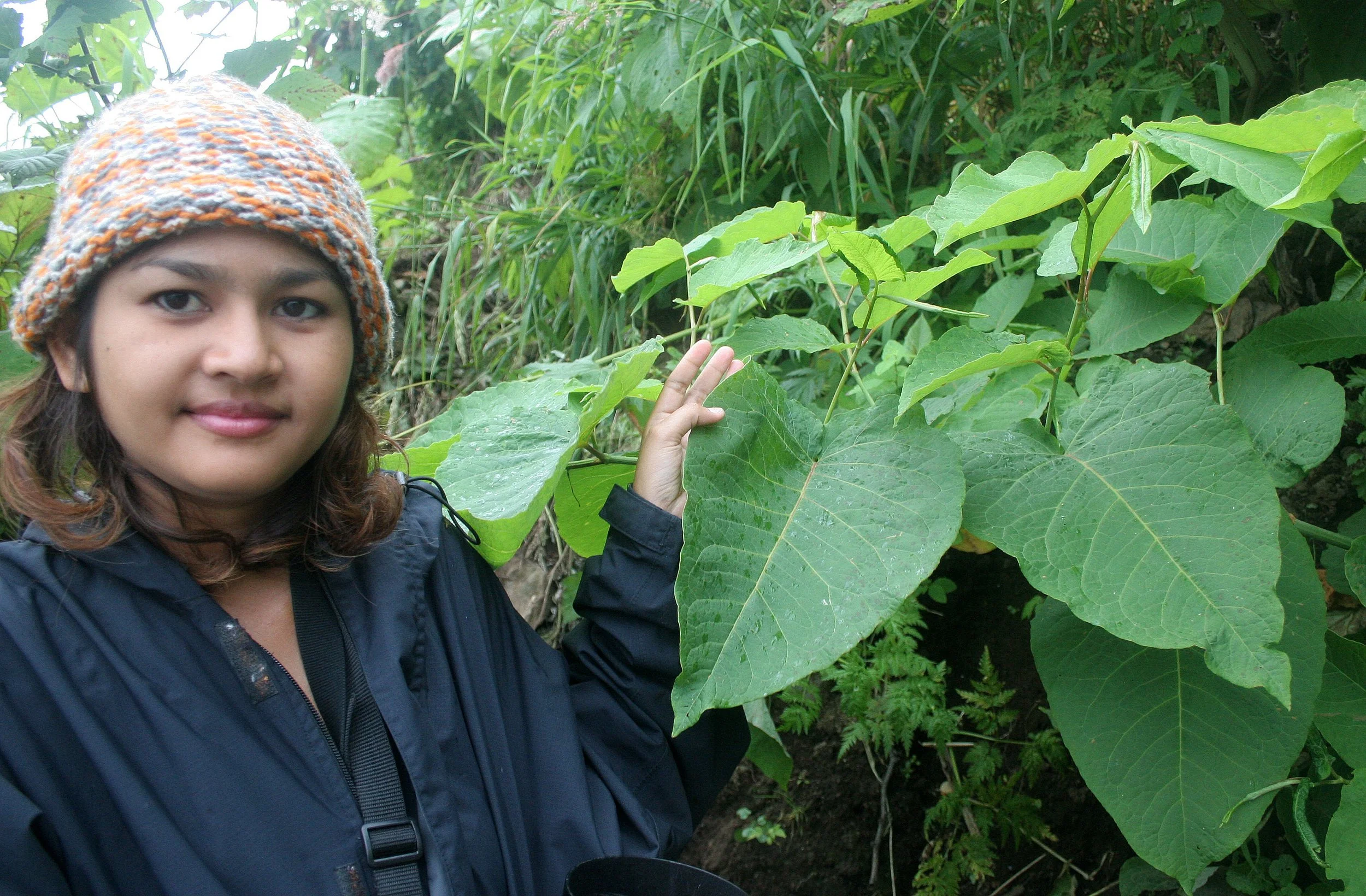 KURIL ISLANDS - FLORA  (45).jpg