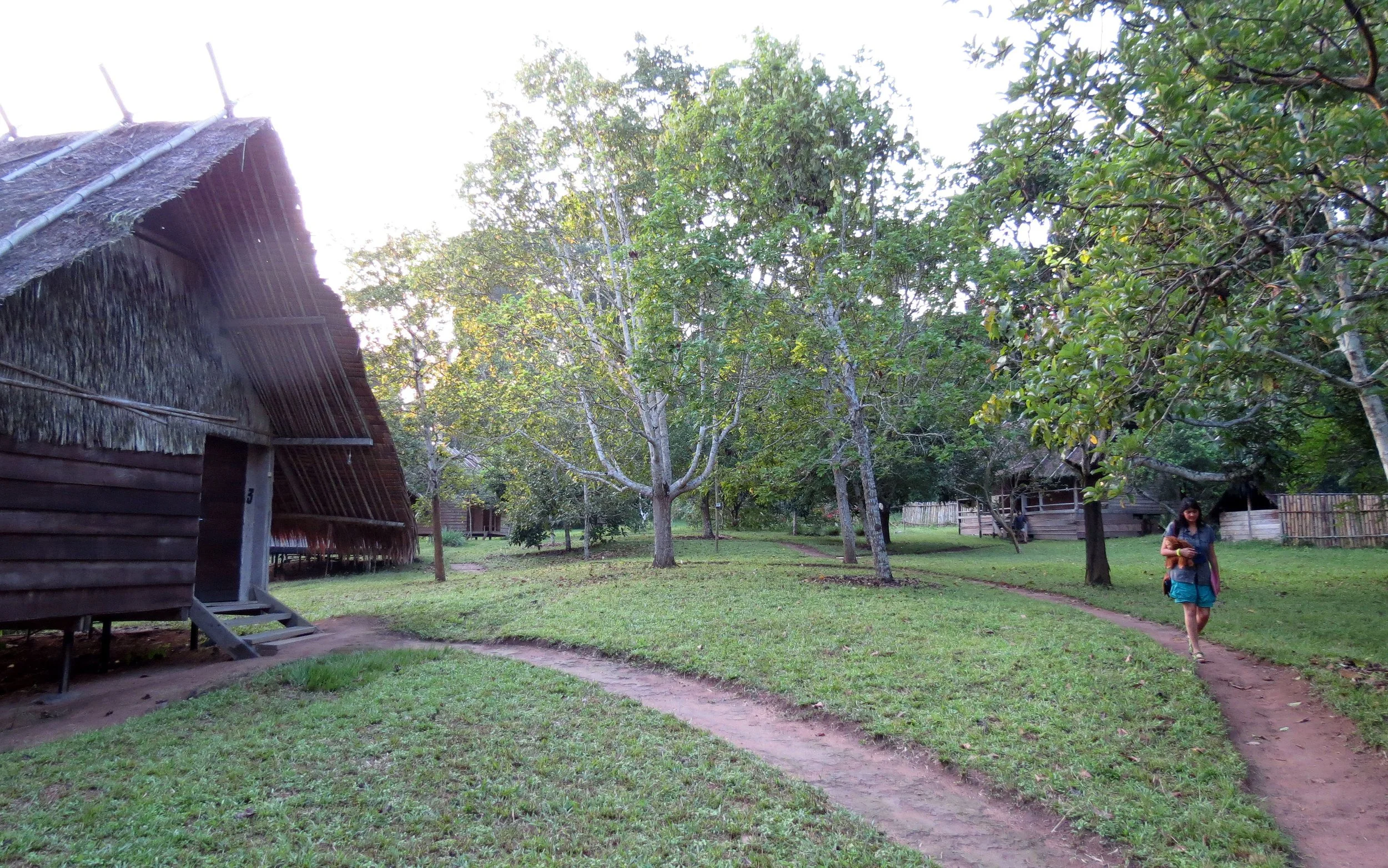 DZANGA NDOKI NATIONAL PARK  - CENTRAL AFRICAN REPUBLIC (7).JPG
