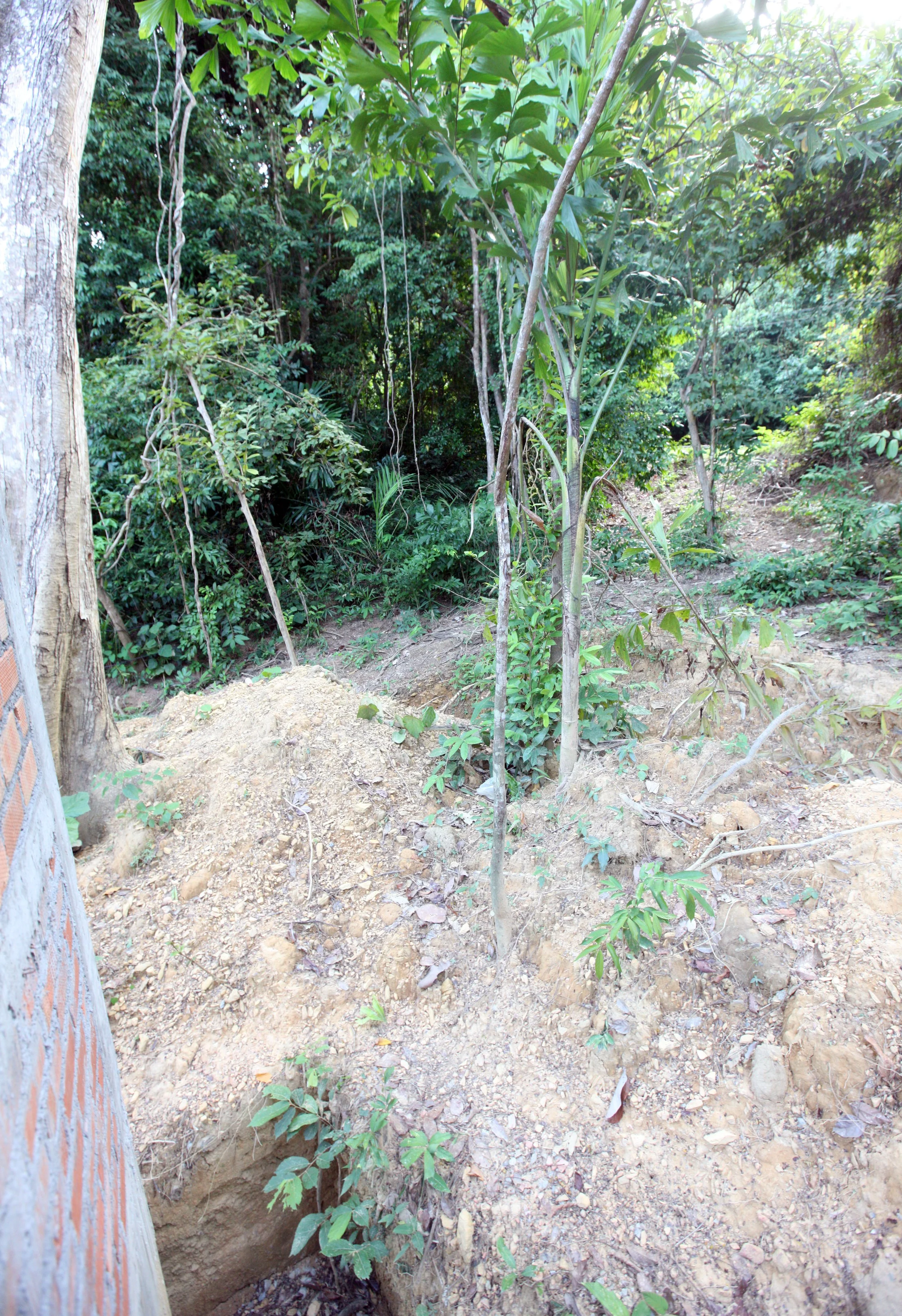 2015 Koh Lanta Build and Fun (53).JPG