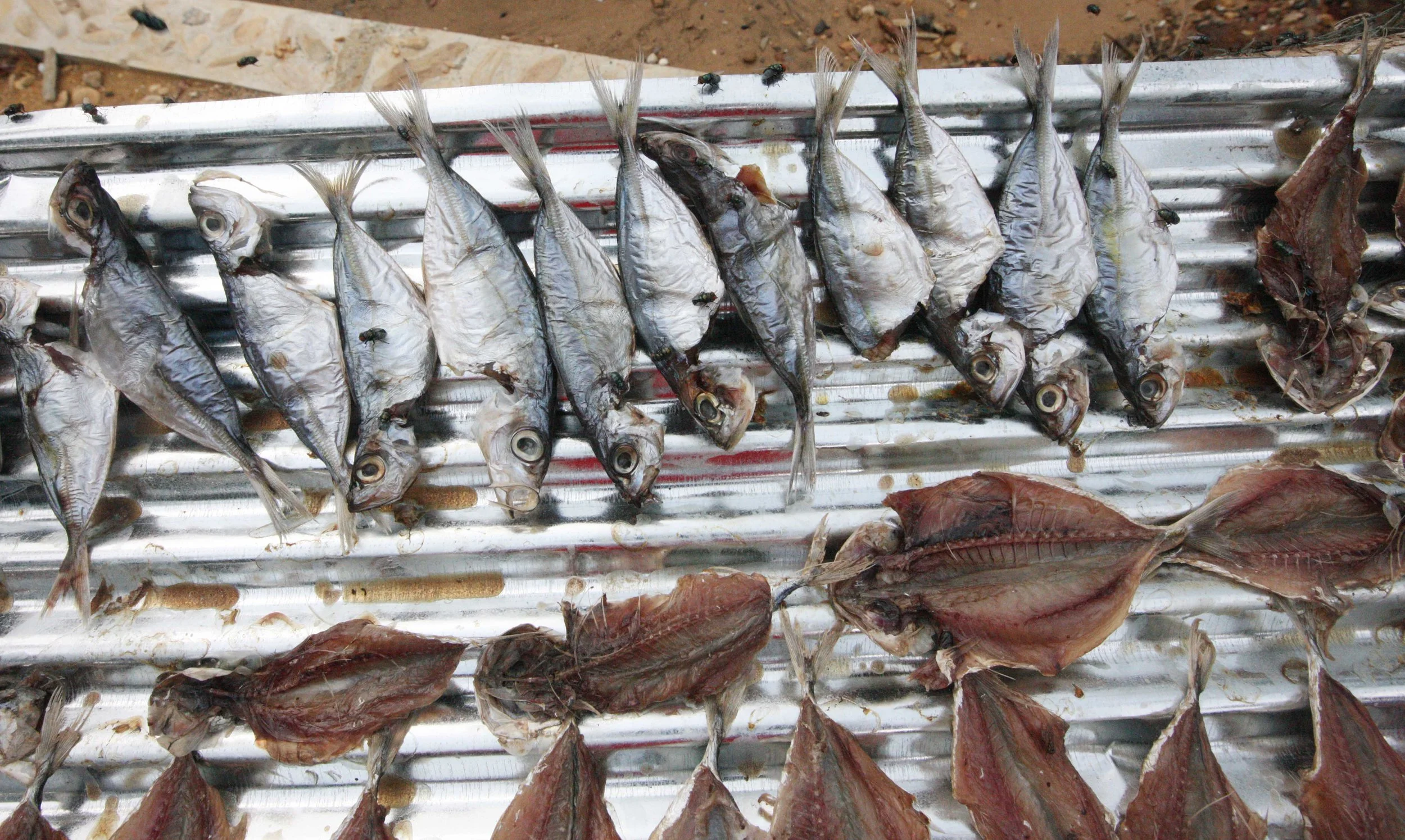 2015 Koh Lanta Songkran with friends from ISB (286).JPG