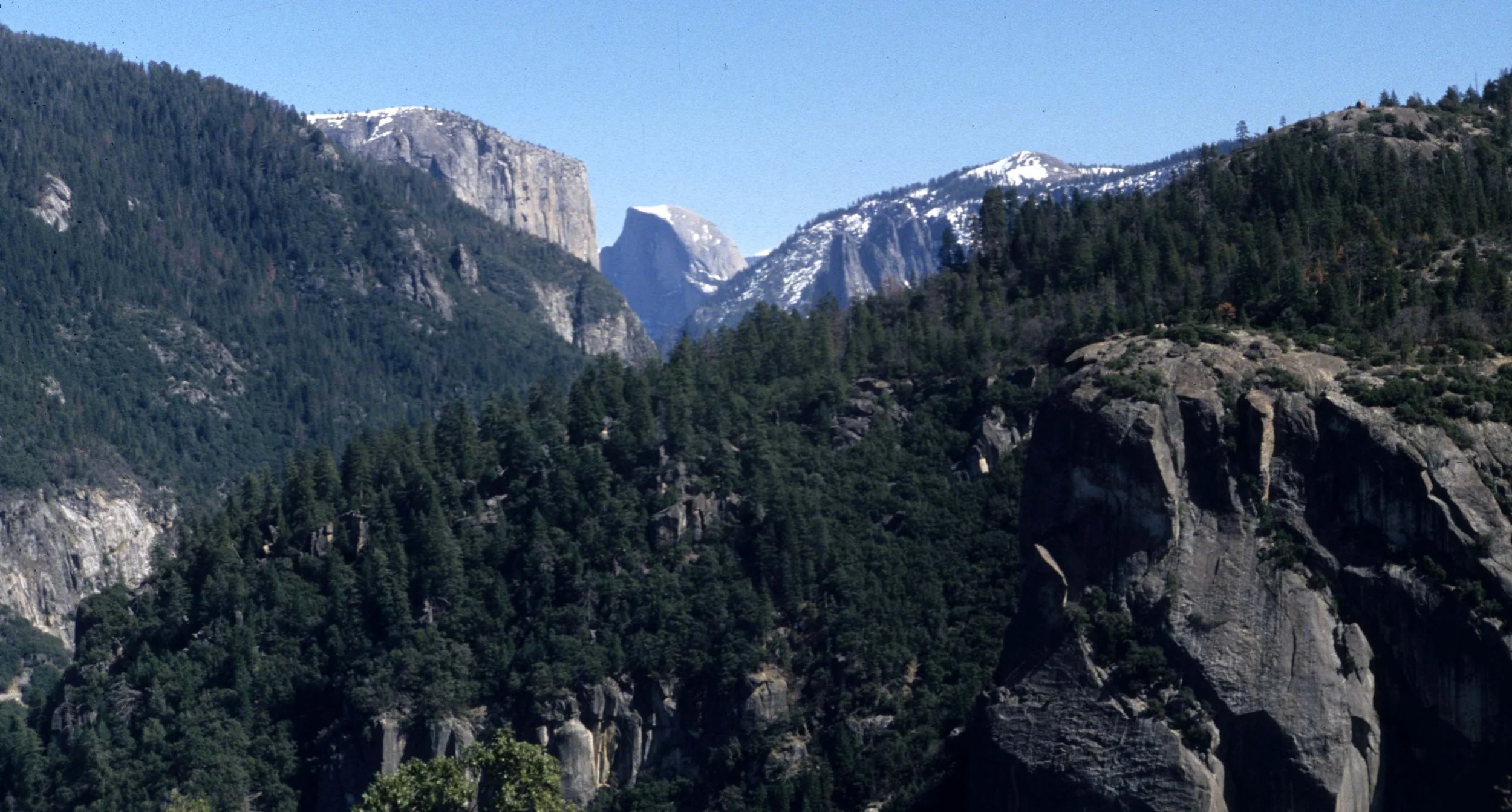 CALIFORNIA - YOSEMITE NP  (11).jpg