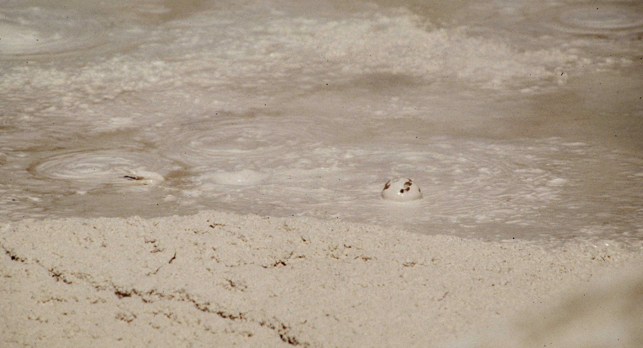 YELLOWSTONE - GEYSER VALLEY L.jpg