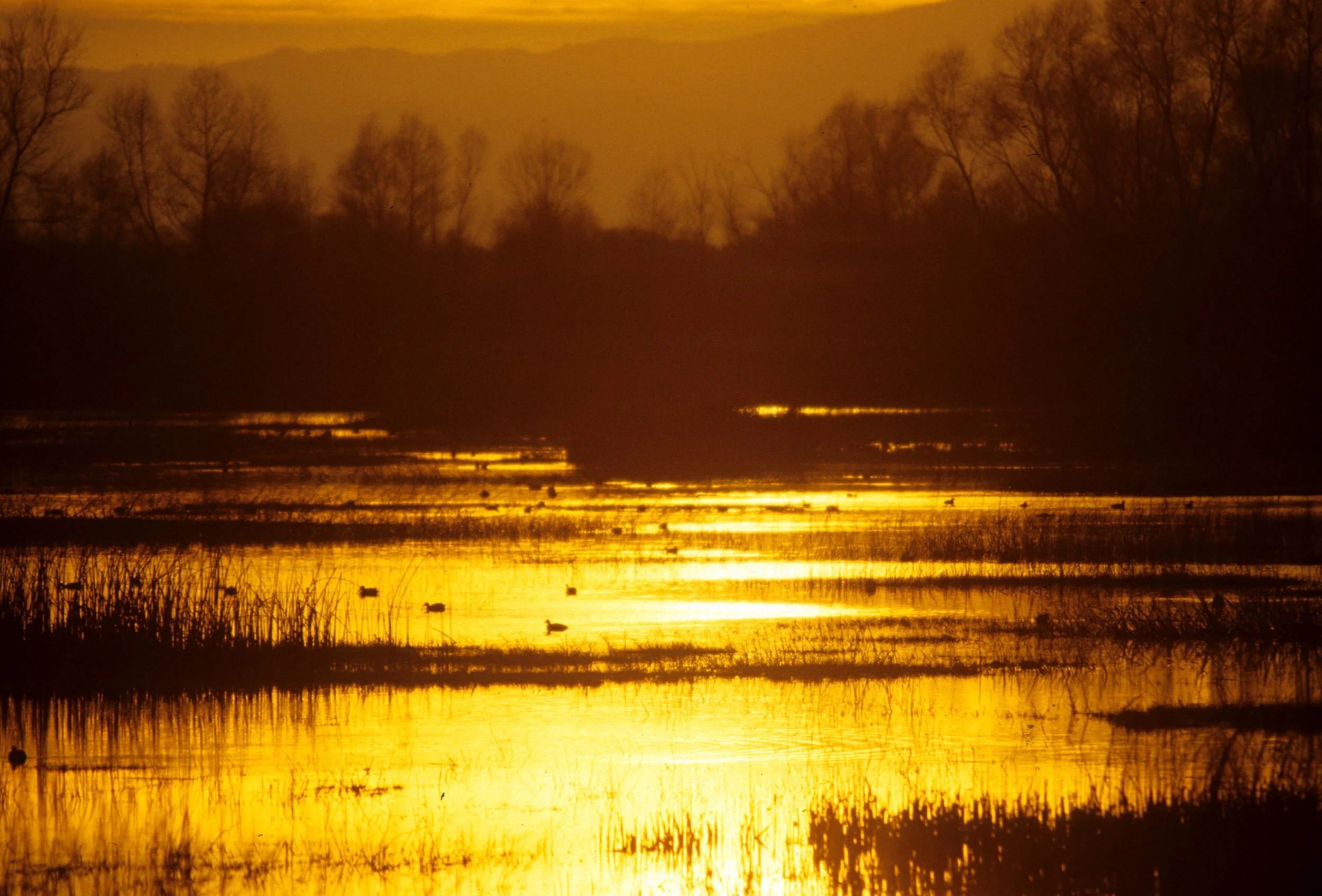 CALIFORNIA - KLAMMATH BASIN SUNSET C.jpg