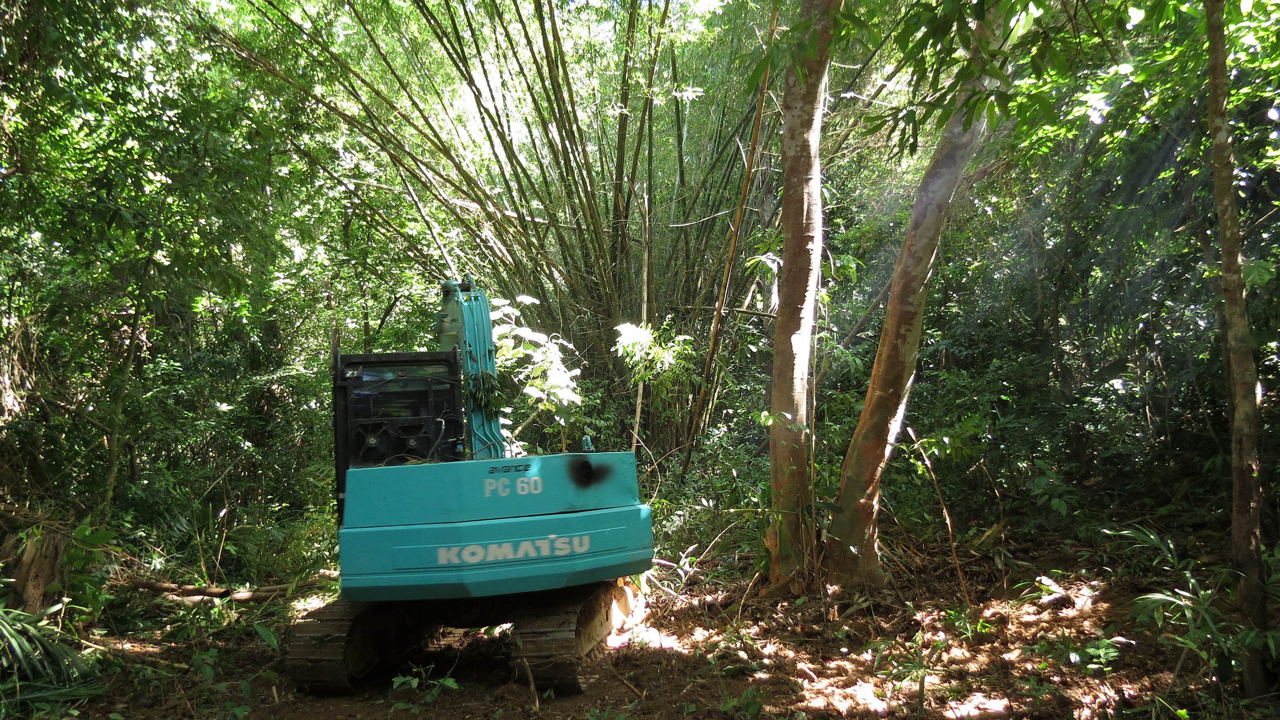 2014 Koh Lanta Build (4).JPG