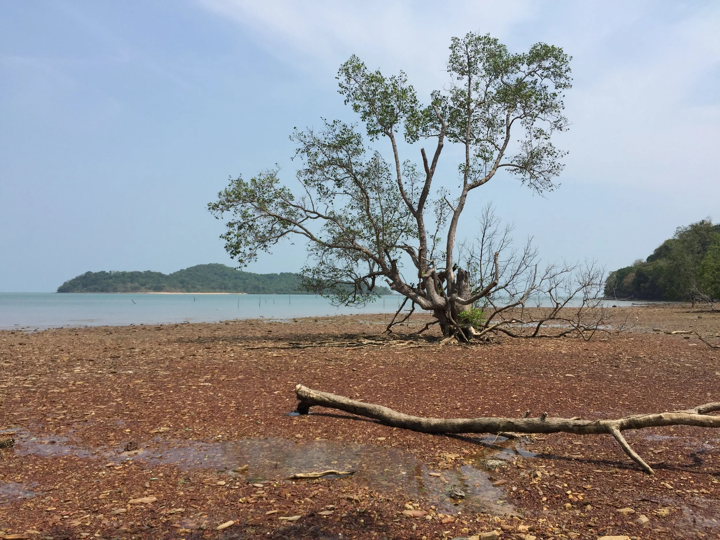 2015 Lanta Project and Scenes (53).JPG