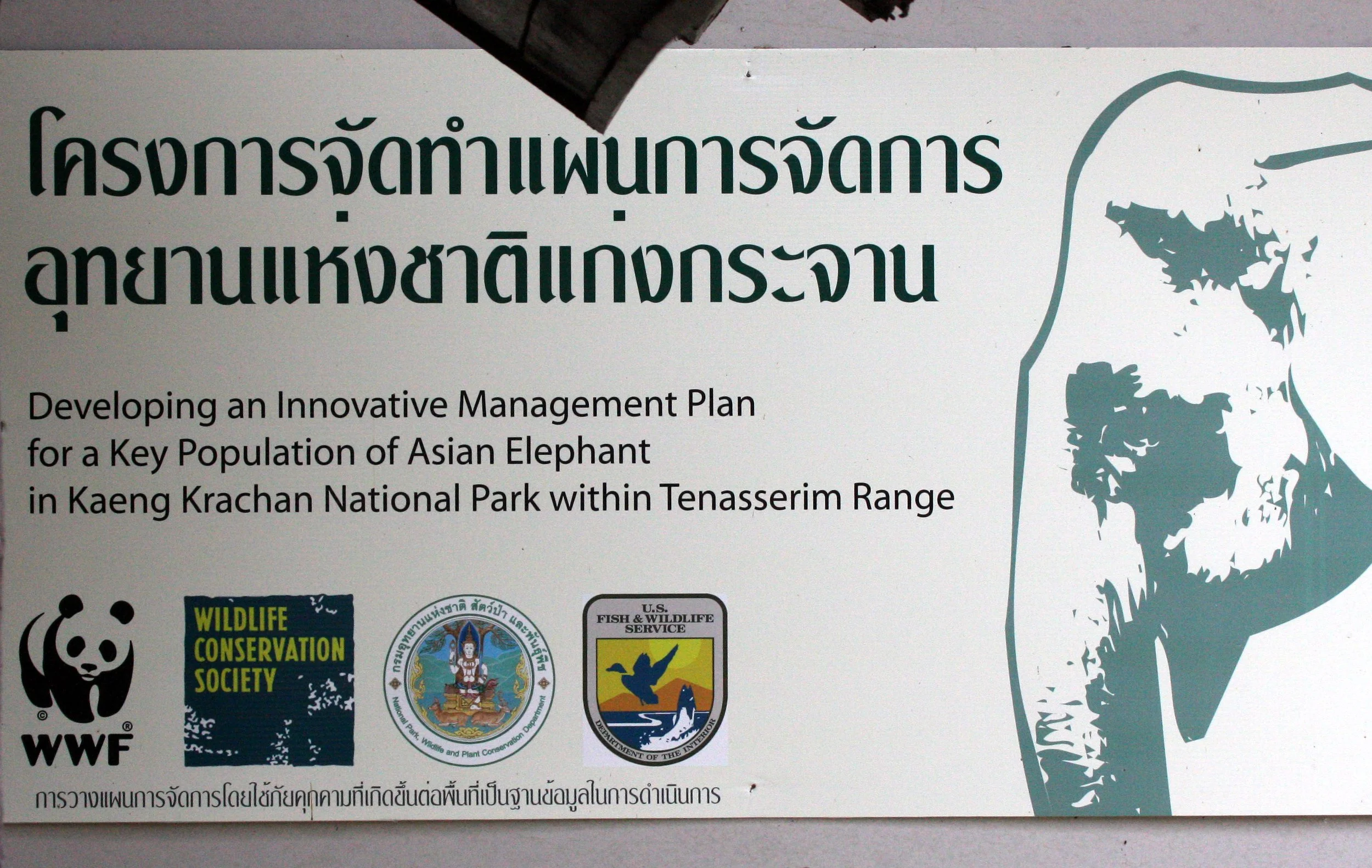 2008 Kaeng Krachan NP Trip with Cokie & Som (69).JPG
