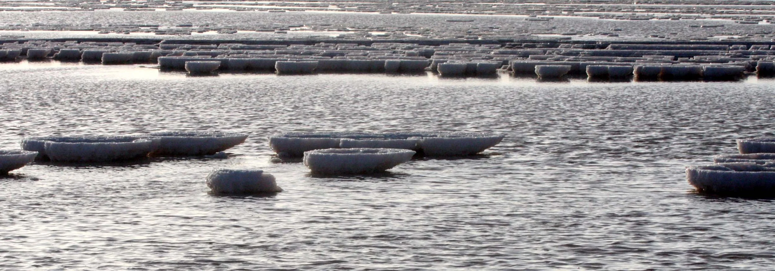 OJO DE LIEBRE LAGOON BAJA MEXICO - SALT PONDS.JPG