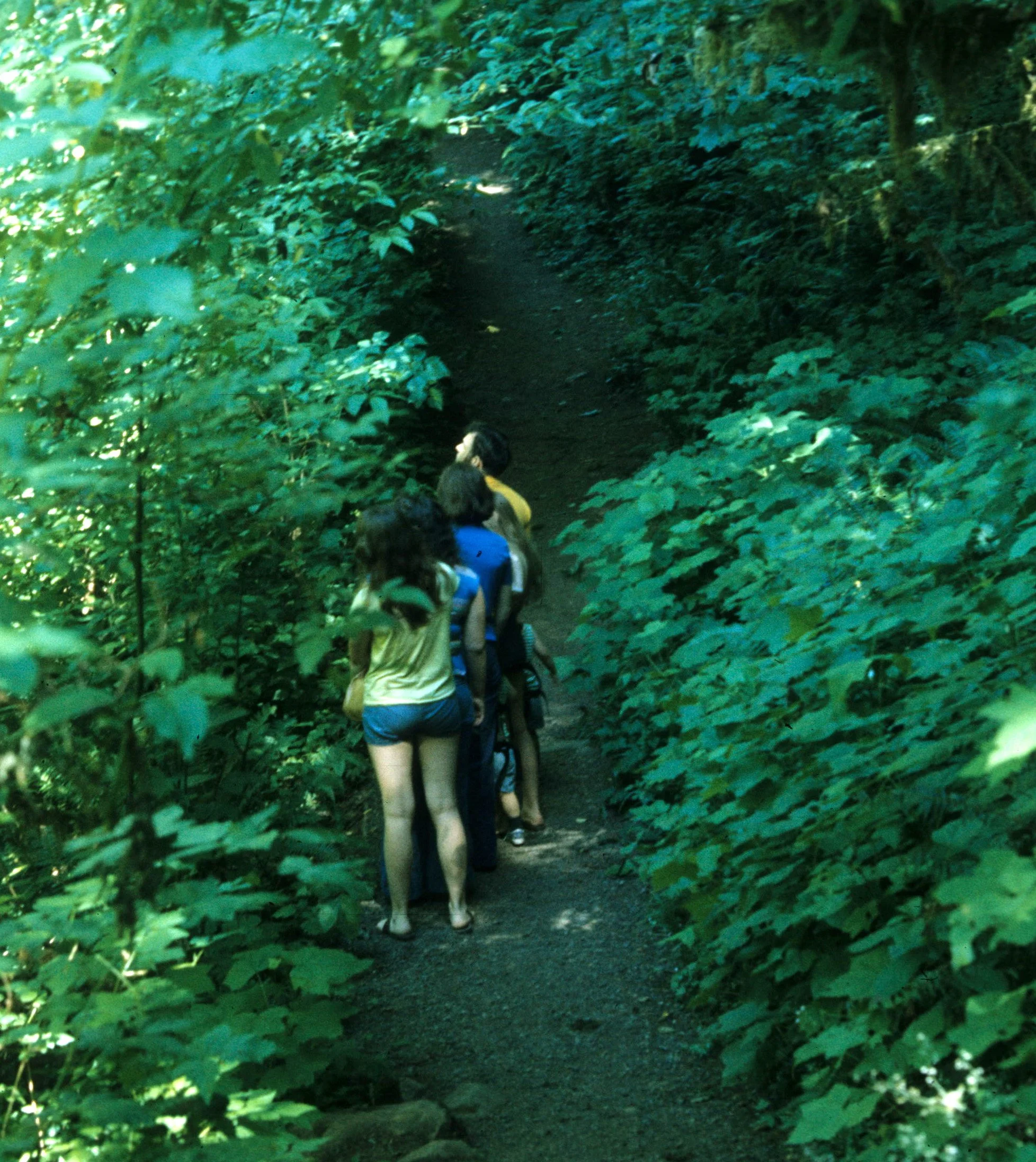 1977 - SUMMER TRIP - OREGON - ASHLAND PARK TRAIL.jpg