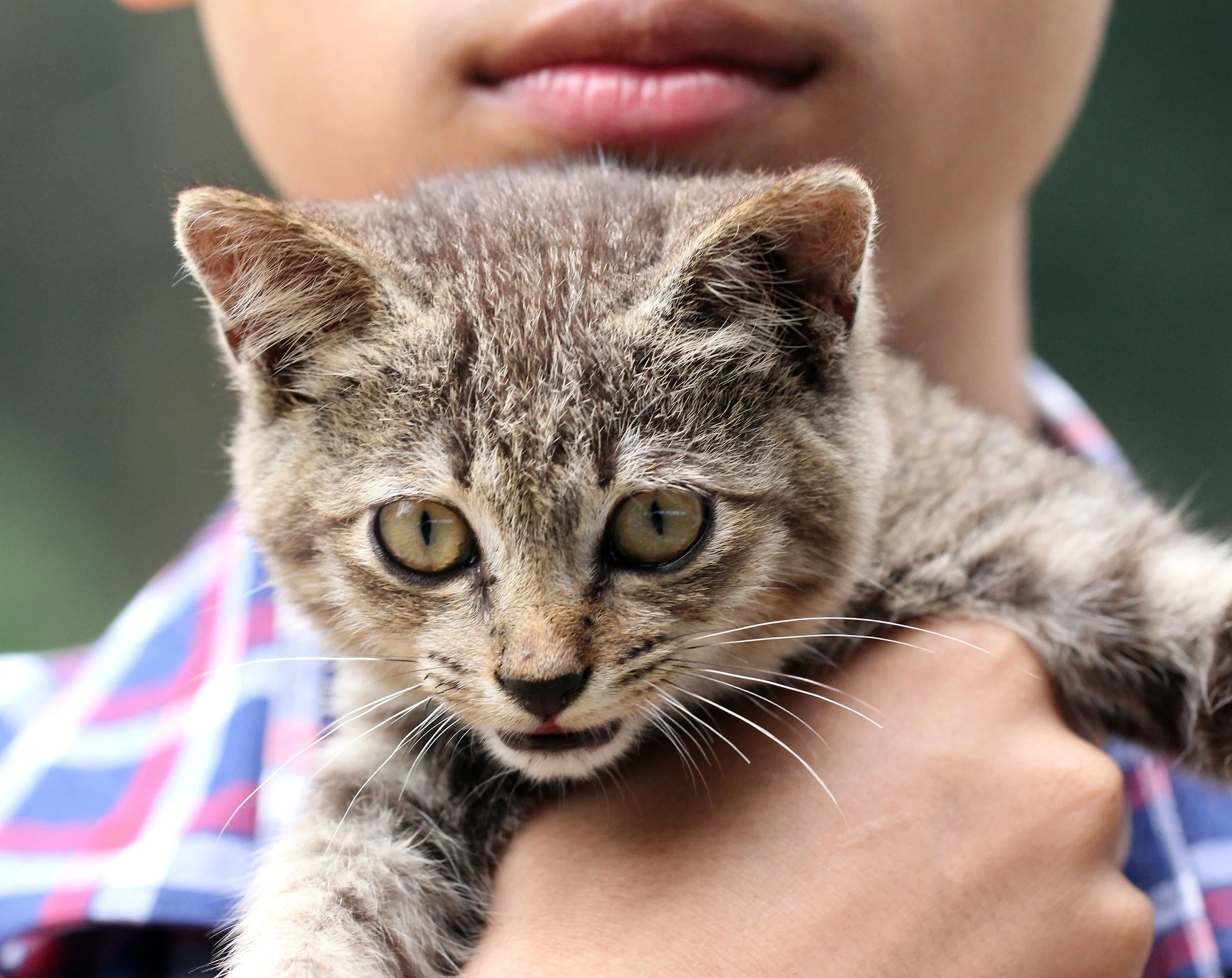 2015 Koh Lanta October Break Trip  (261).JPG