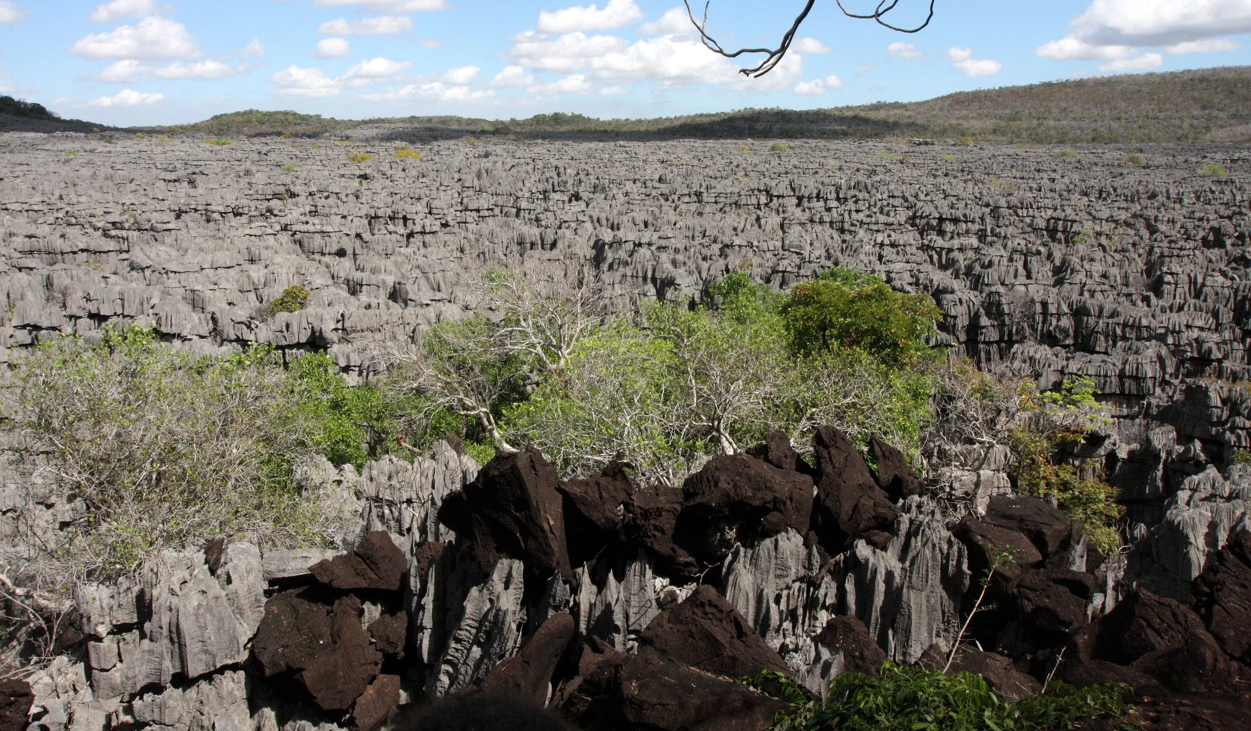 ANKARANA NATIONAL PARK MADAGASCAR - TSINGY FOREST (13).JPG