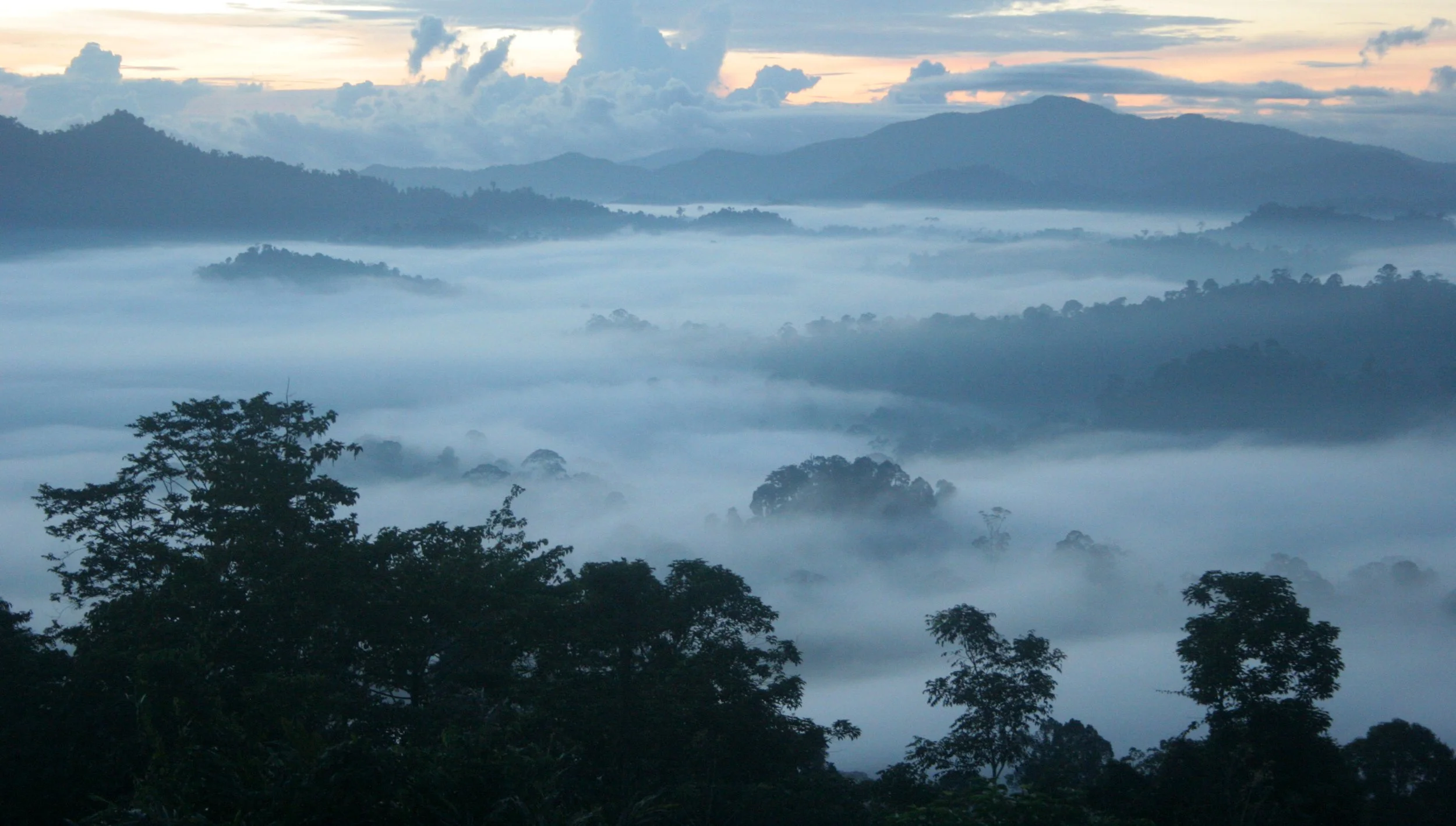 DANUM VALLEY BORNEO - SUNRISE OVER THE DANUM (17).JPG