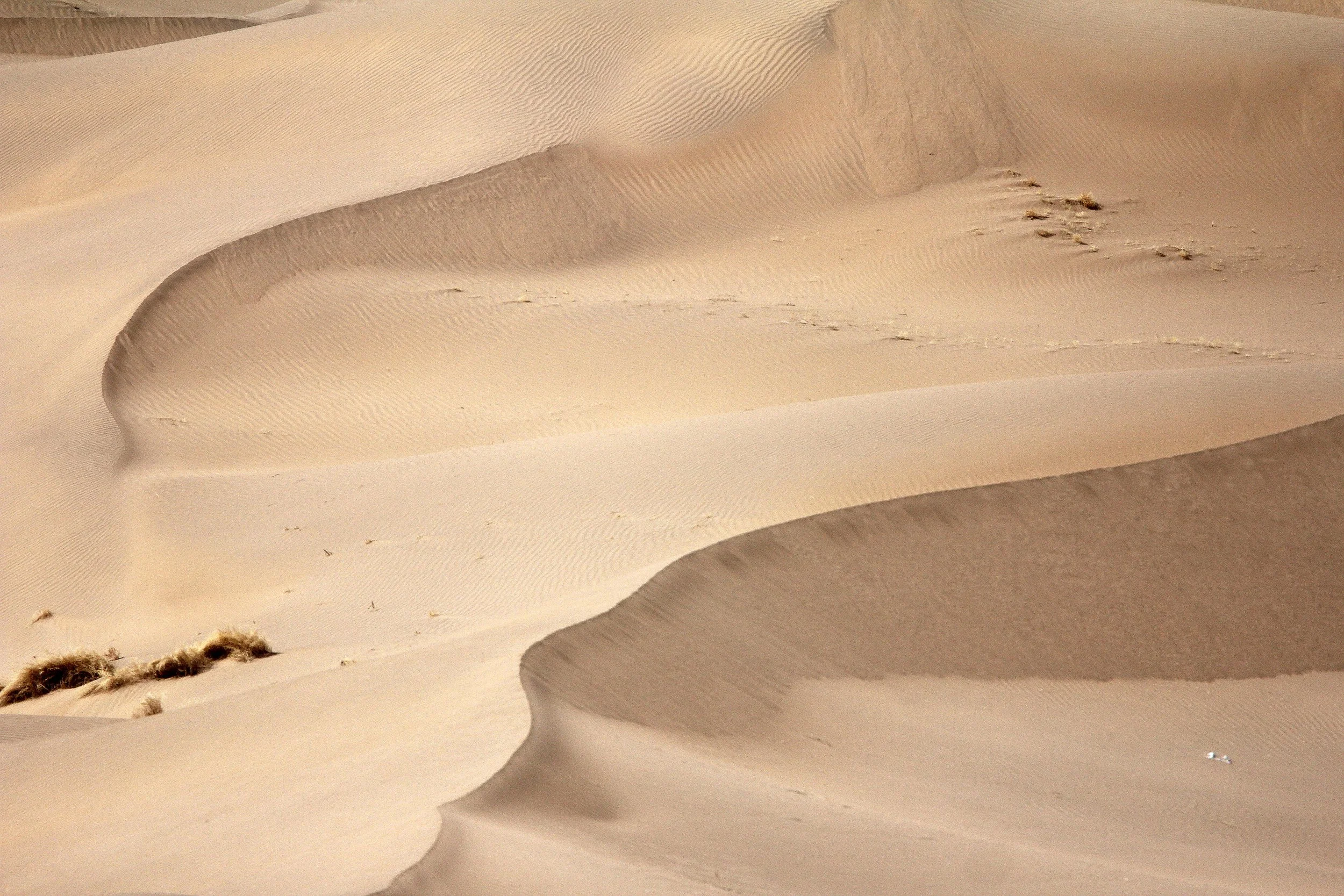 GANSU - DUNES SOUTH OF DUNHUANG - CHINA (21).JPG