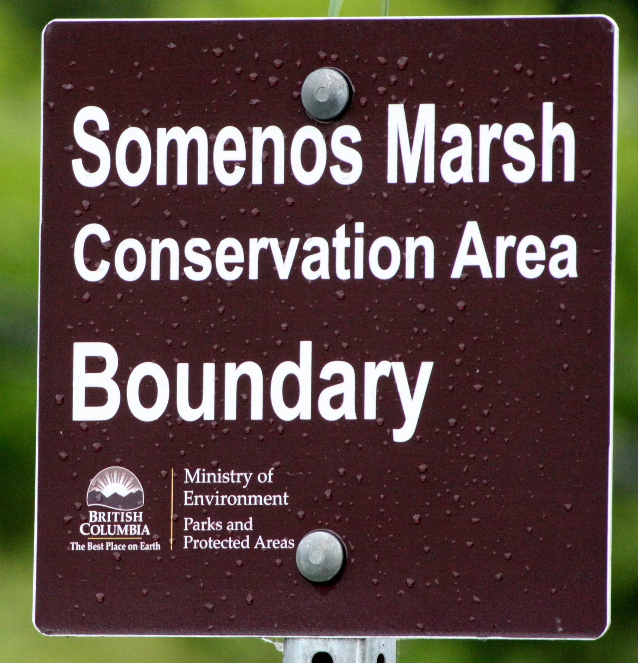 SOMEMOS MARSH VANCOUVER ISLAND BC.JPG