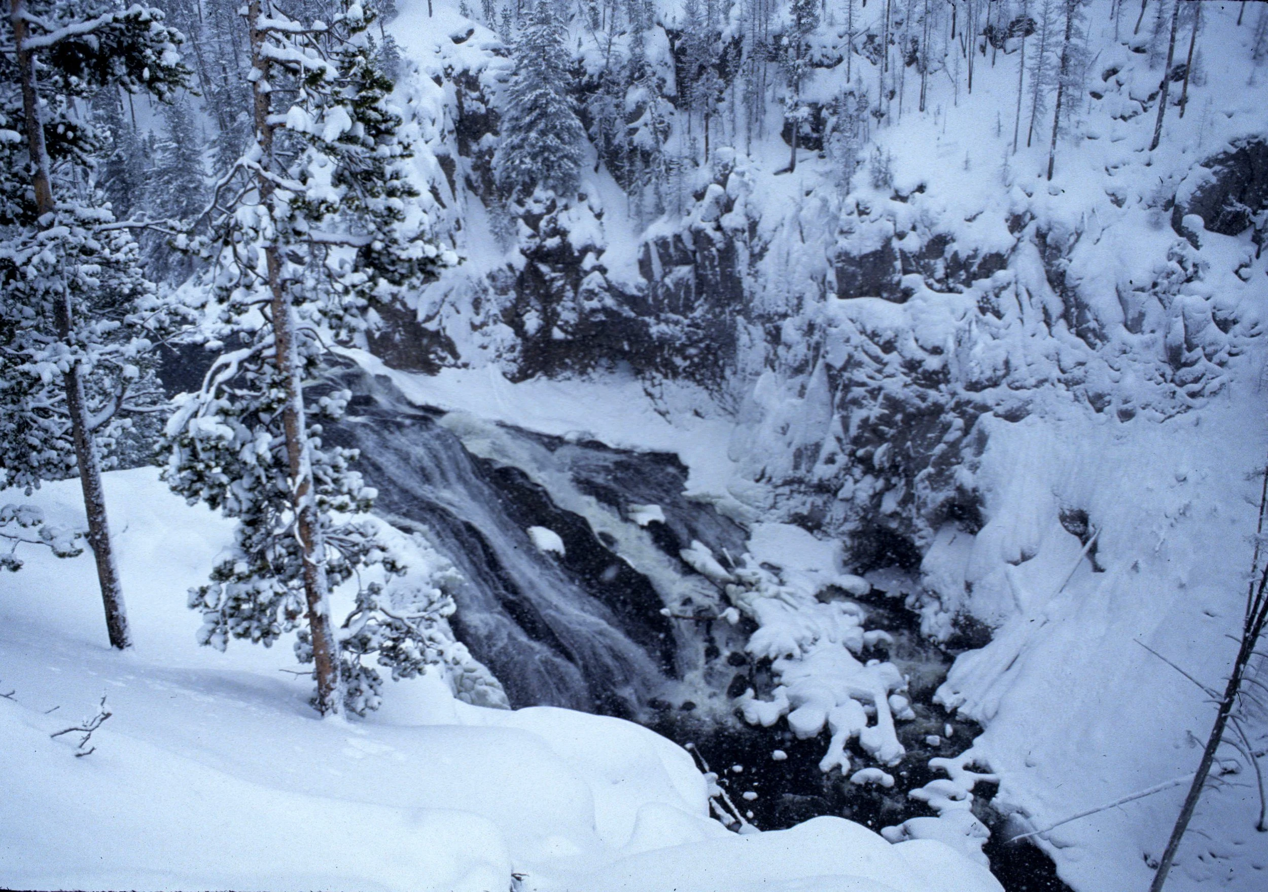 YELLOWSTONE IN WINTER G.jpg