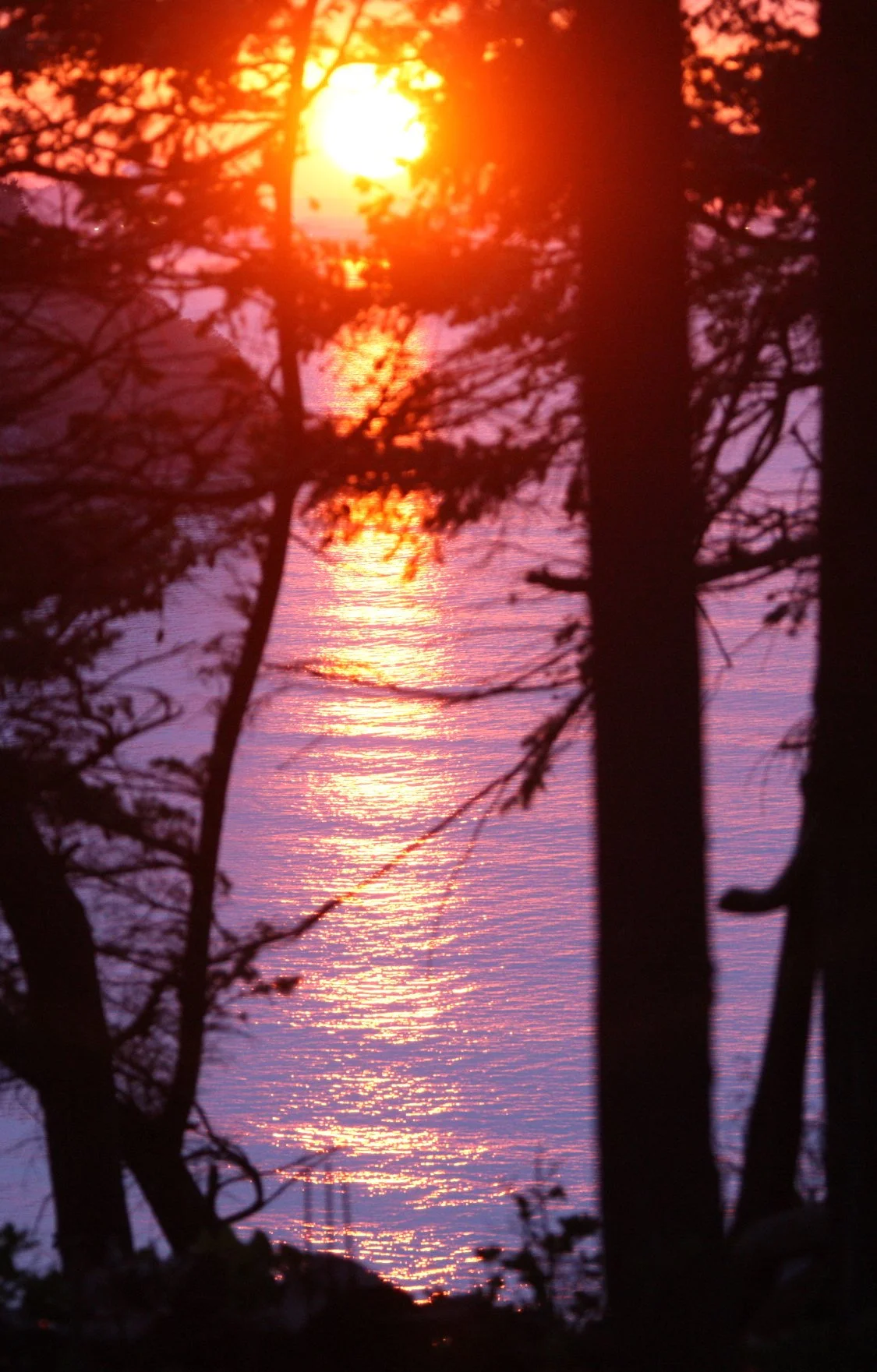 LAKE FARM - SUNSETS IN APRIL 2010 (2).JPG