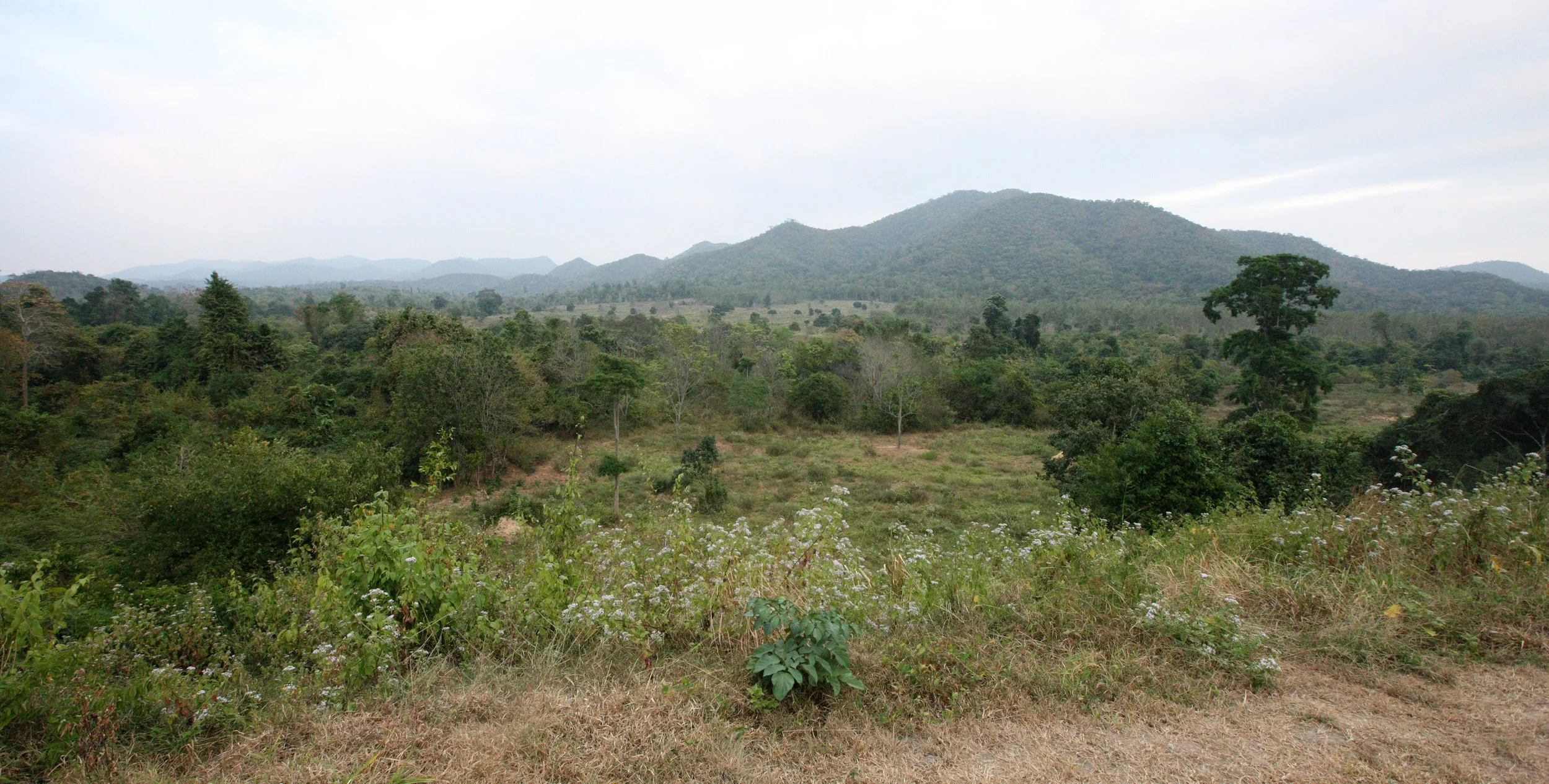 2008 Khao Luang NP Krung Chin Waterfalls Area (28).JPG