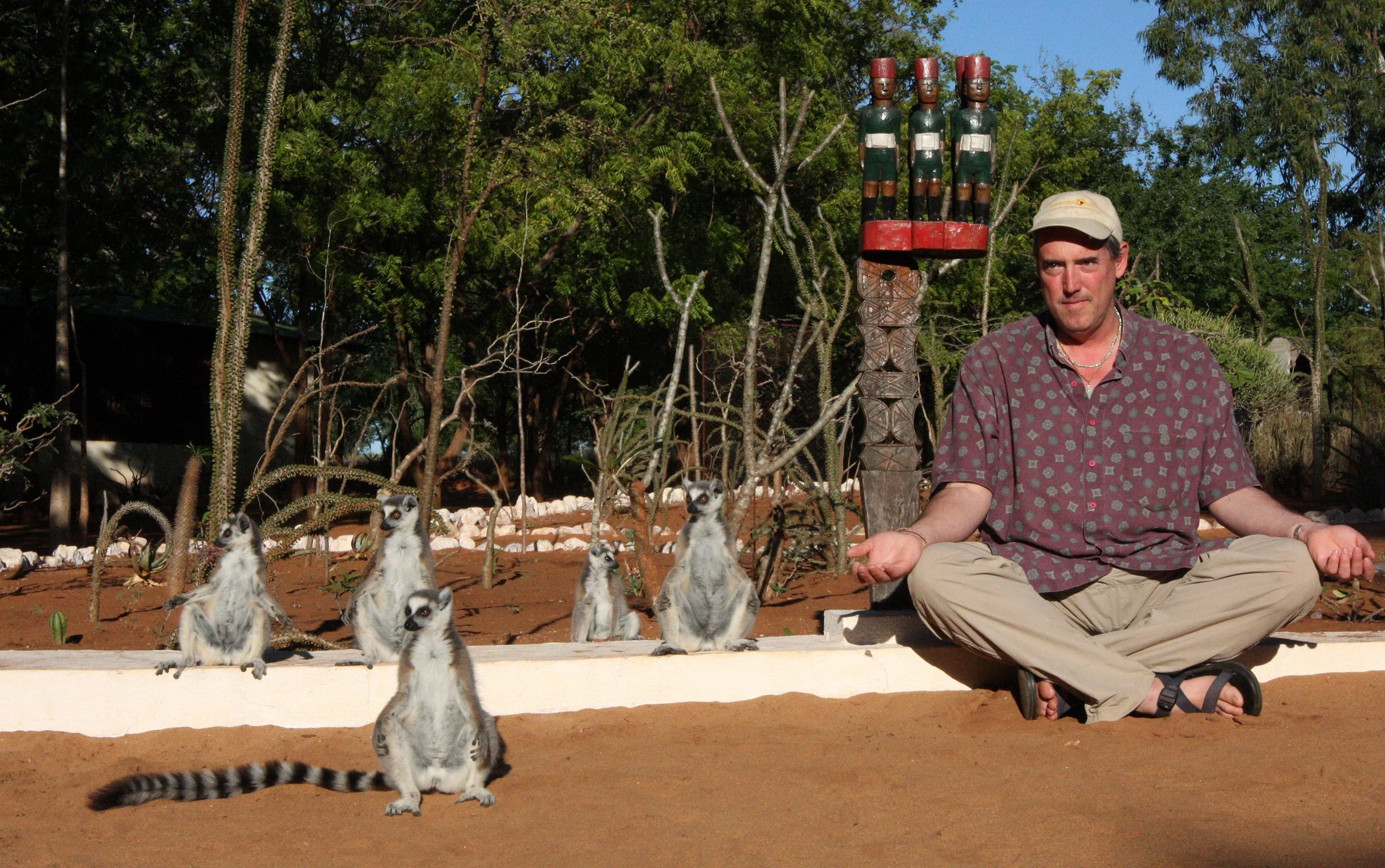 LEMURIDAE - Lemur catta - RING-TAILED LEMUR - BERENTY RESERVE MADAGASCAR (107).JPG