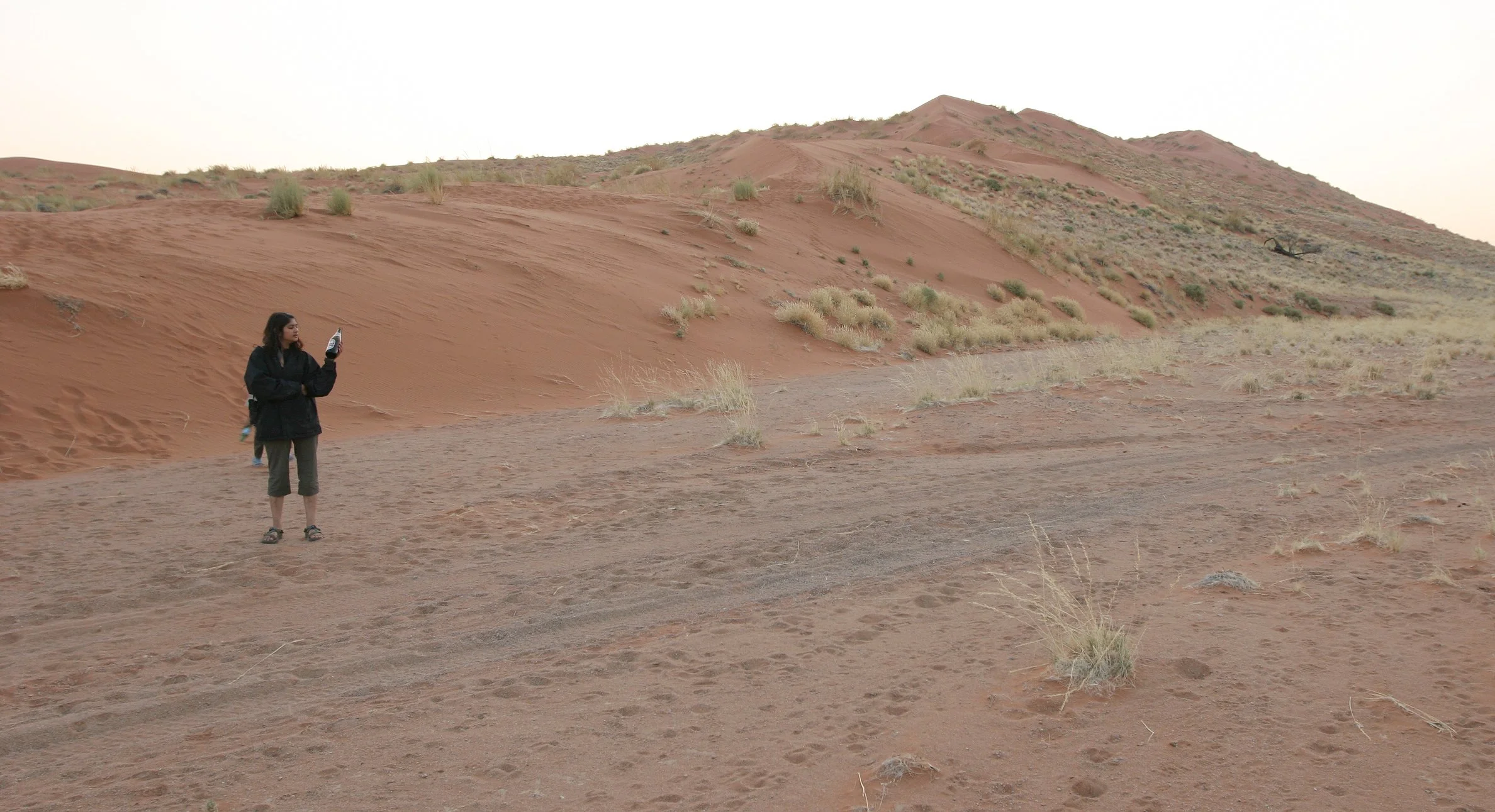 NAMIBIA - SOSSUSVLEI - DUNES - NAMIBIA (30).JPG