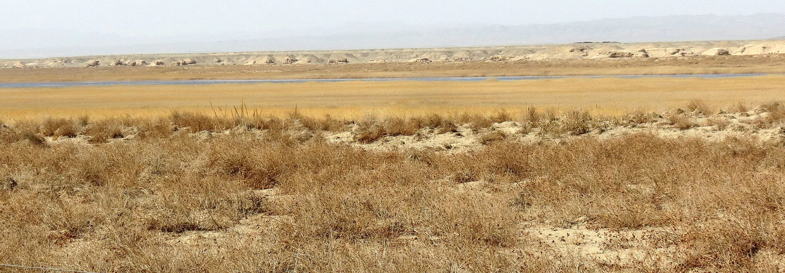 GANSU DUNHUANG XIFU NATURE RESERVE - CHINA (1).JPG