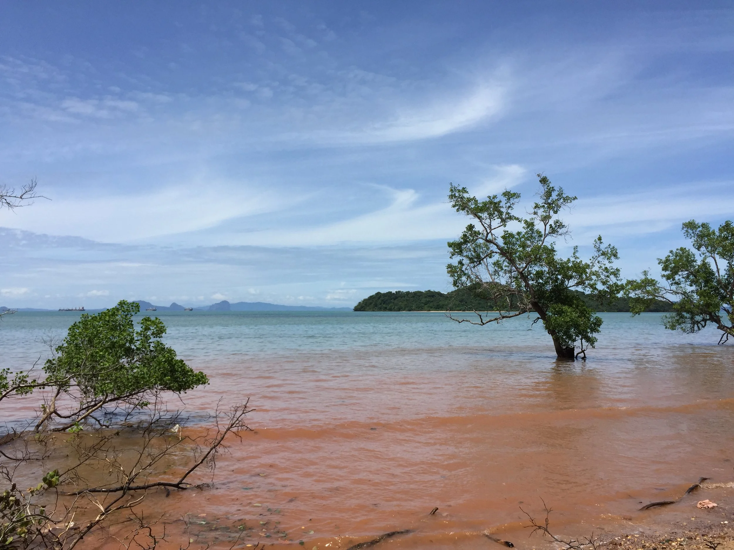 2016 Koh Lanta TheOtherSideVillas - Nature at our Home (106).JPG