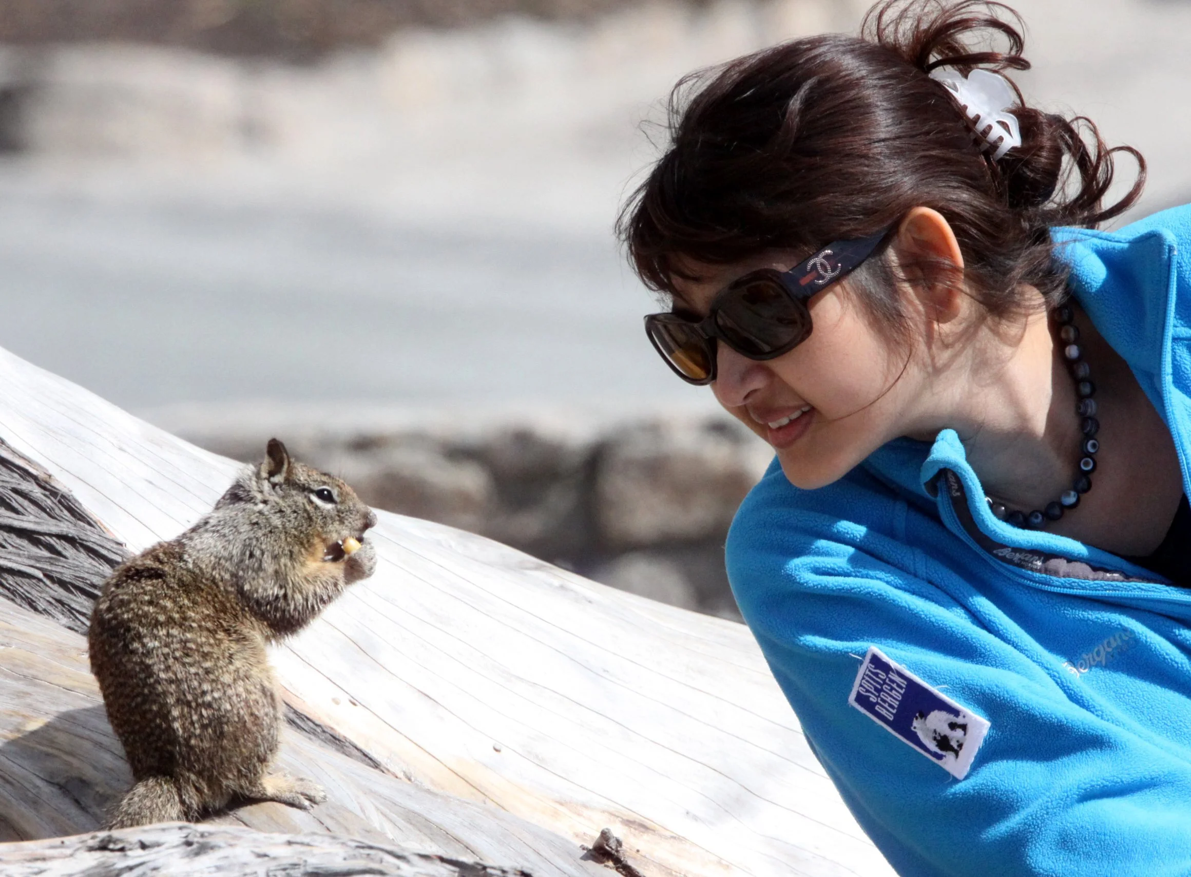 2010-4-1 CARMEL  - ROADTRIP 2010 (4).JPG